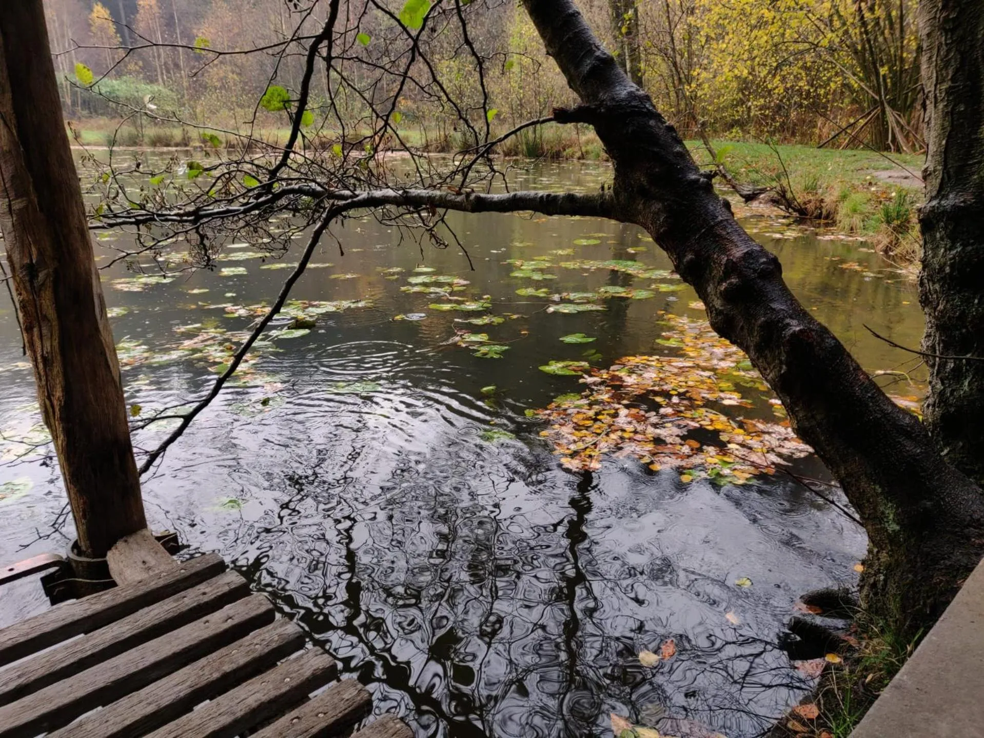 Ferme de la Petite Fagne
