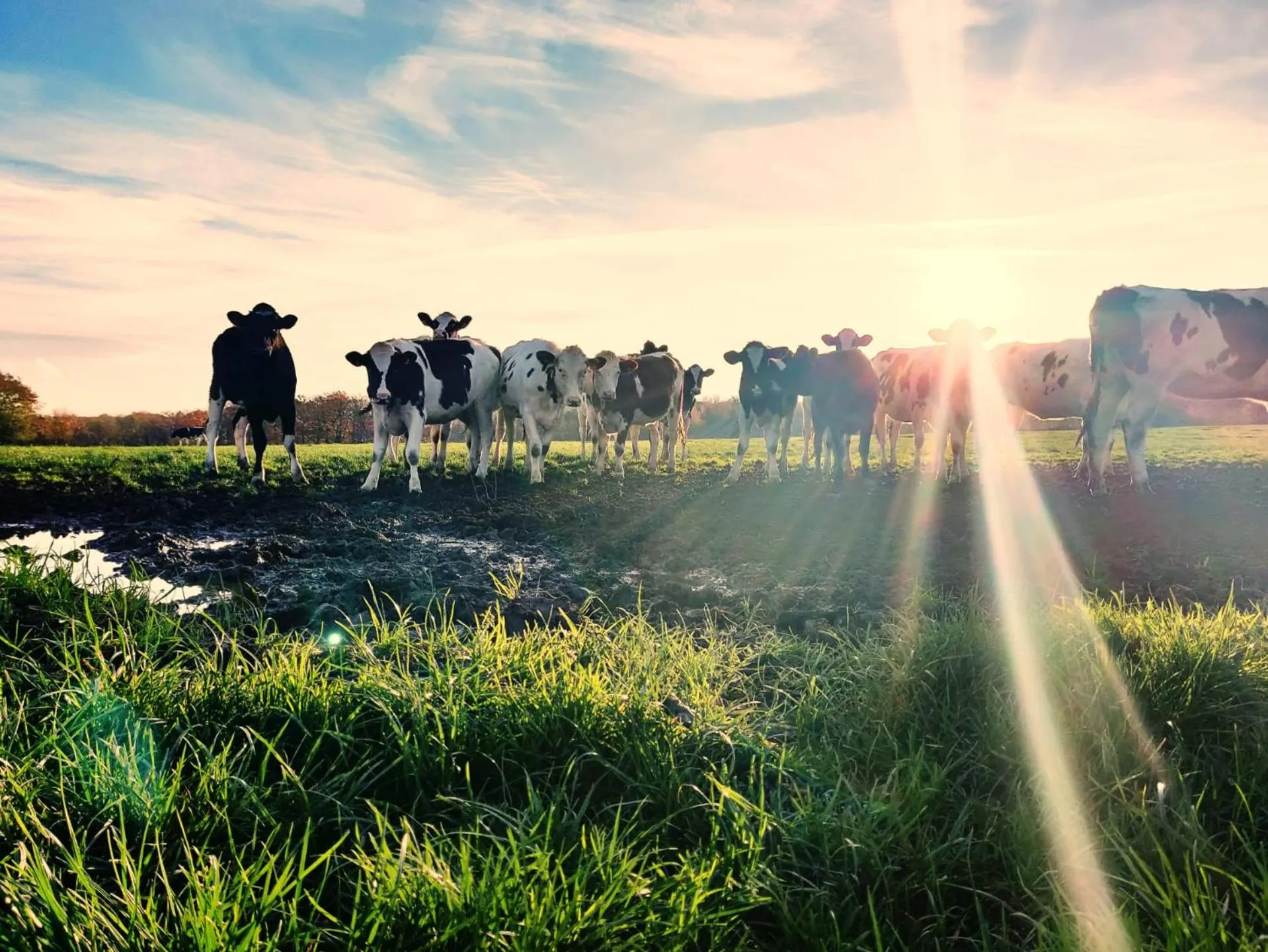 Ferme de la Petite Fagne