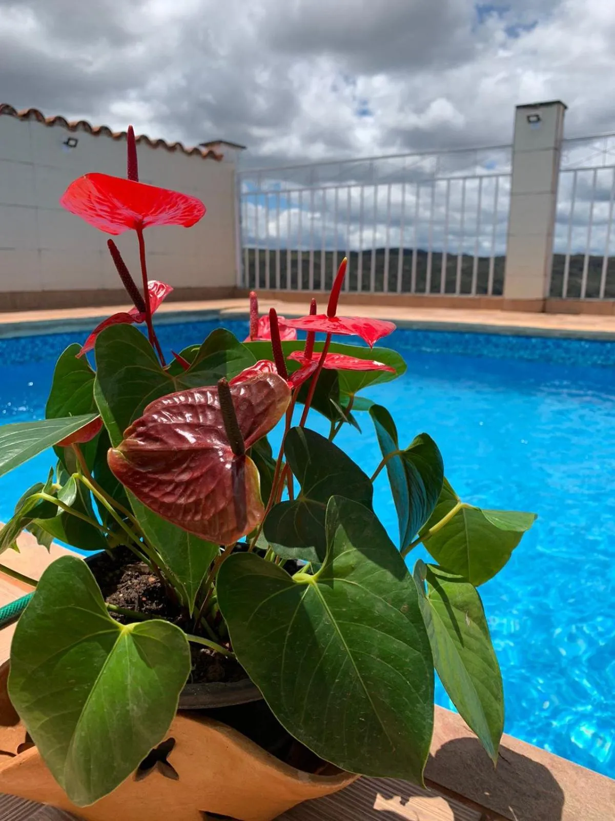 Pousada da Seresta
