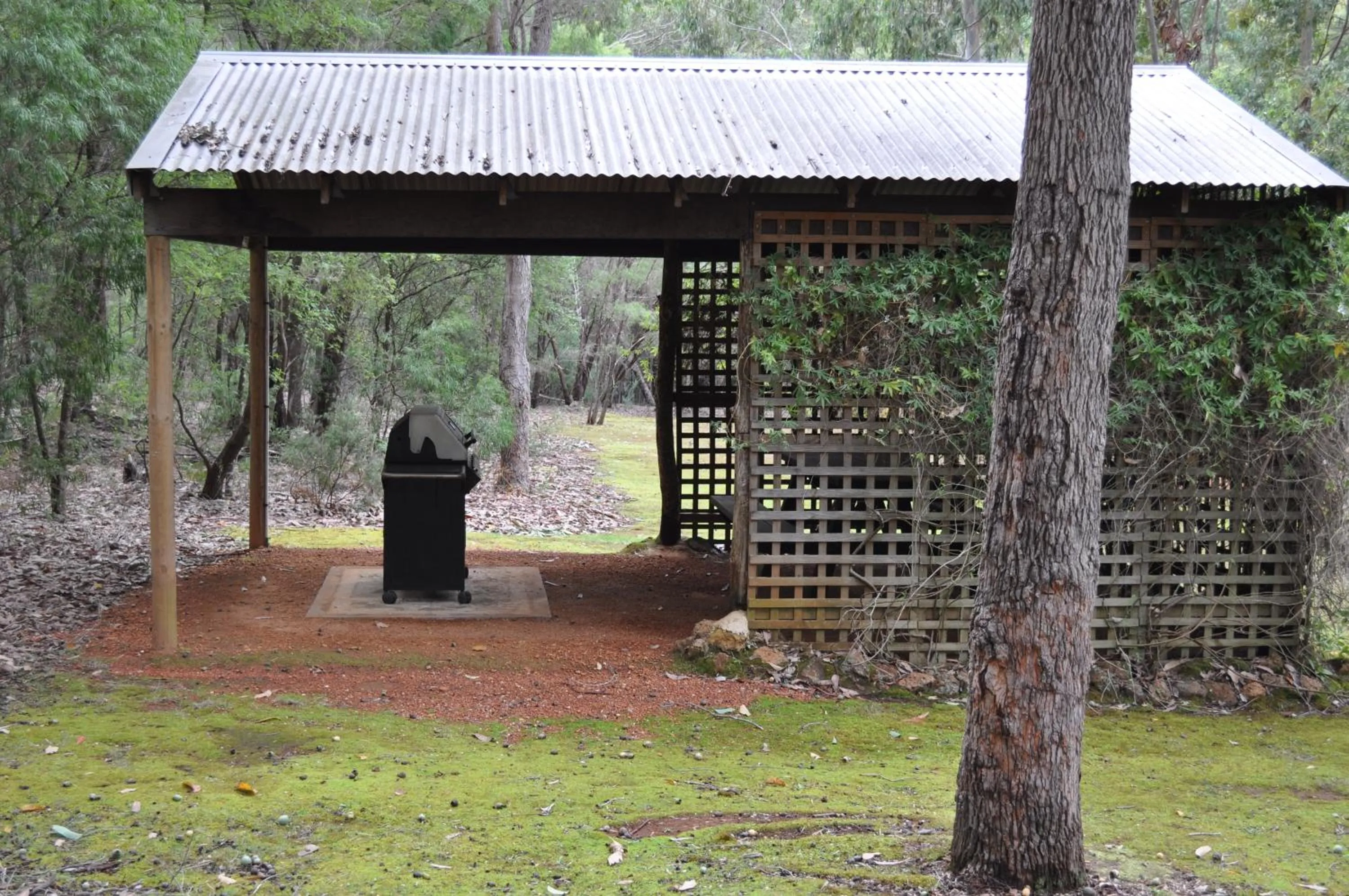 BBQ facilities in Karri Valley Chalets