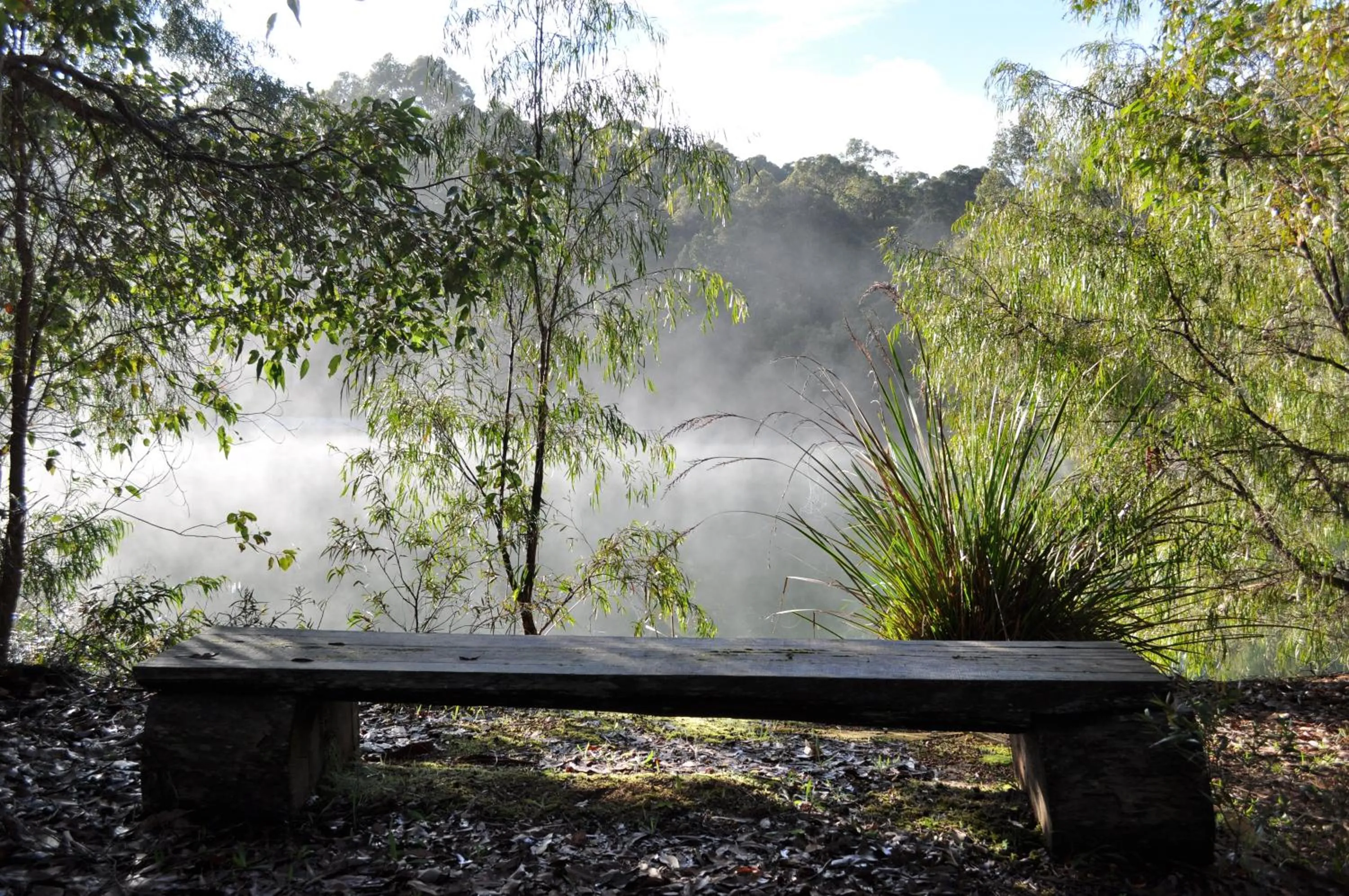 Garden in Karri Valley Chalets