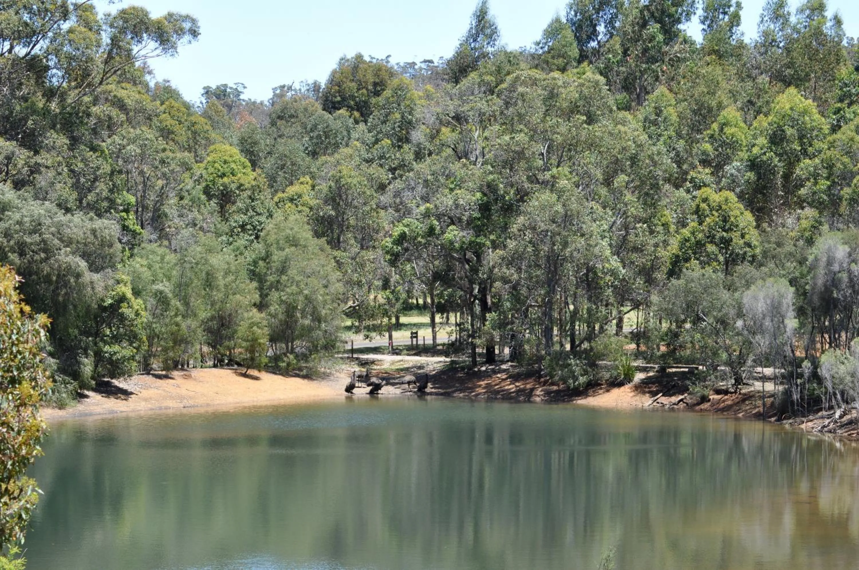 Natural landscape in Karri Valley Chalets