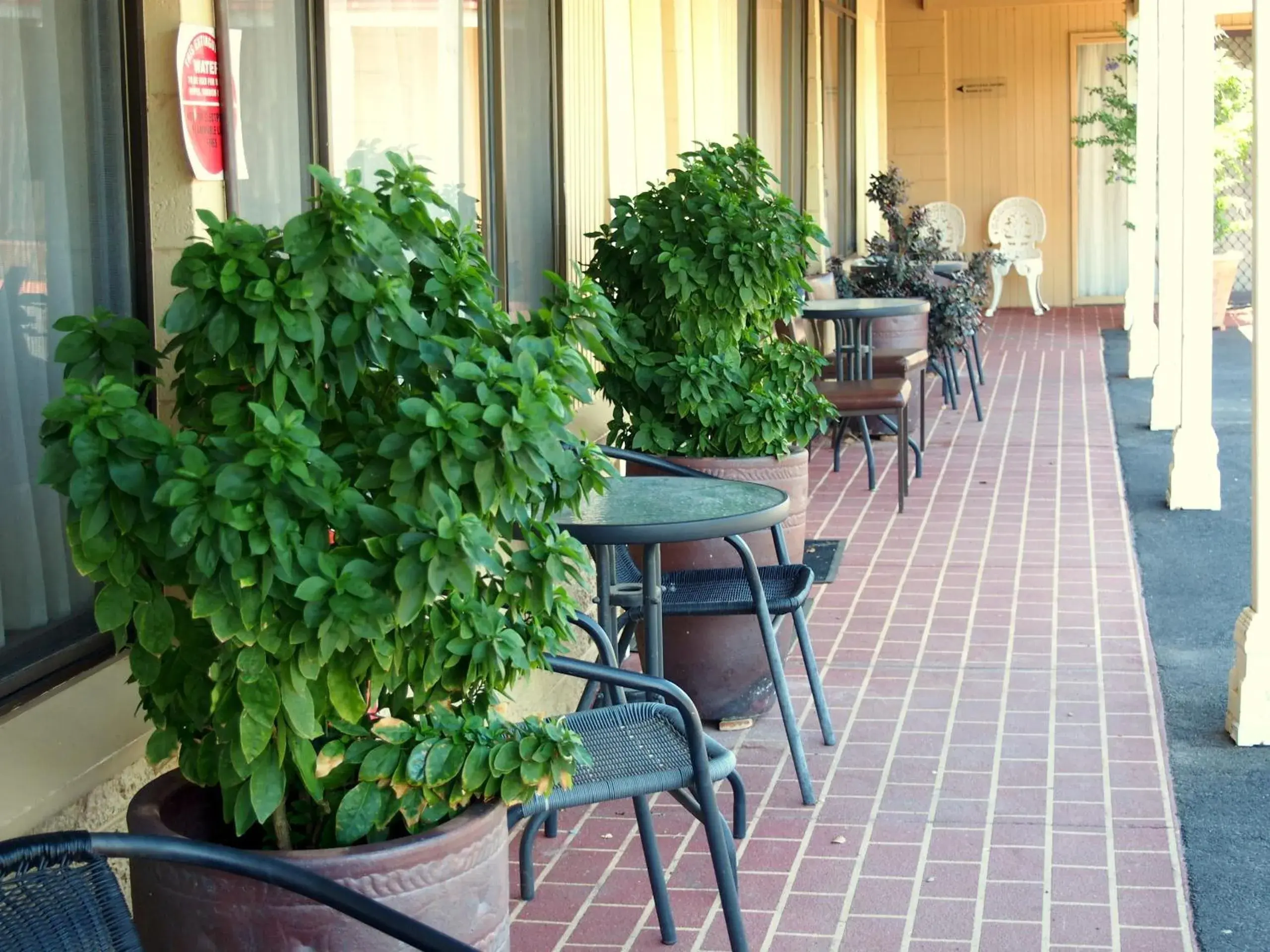 Single or Double Room in Murray River Motel Single or Double Room in Murray River Motel