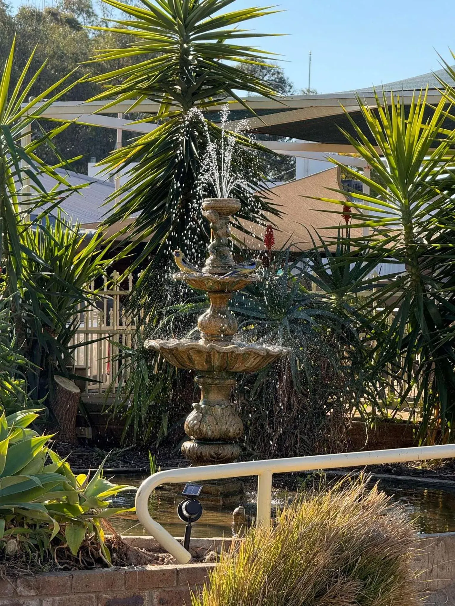 Double or Twin Room - single occupancy in Tooleybuc Motel Double or Twin Room - single occupancy in Tooleybuc Motel