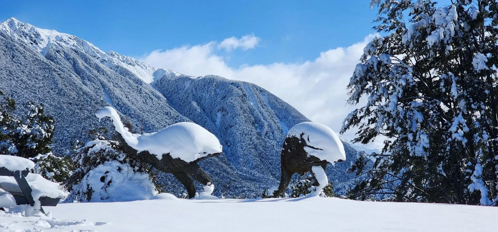 Winter in The Bealey Hotel