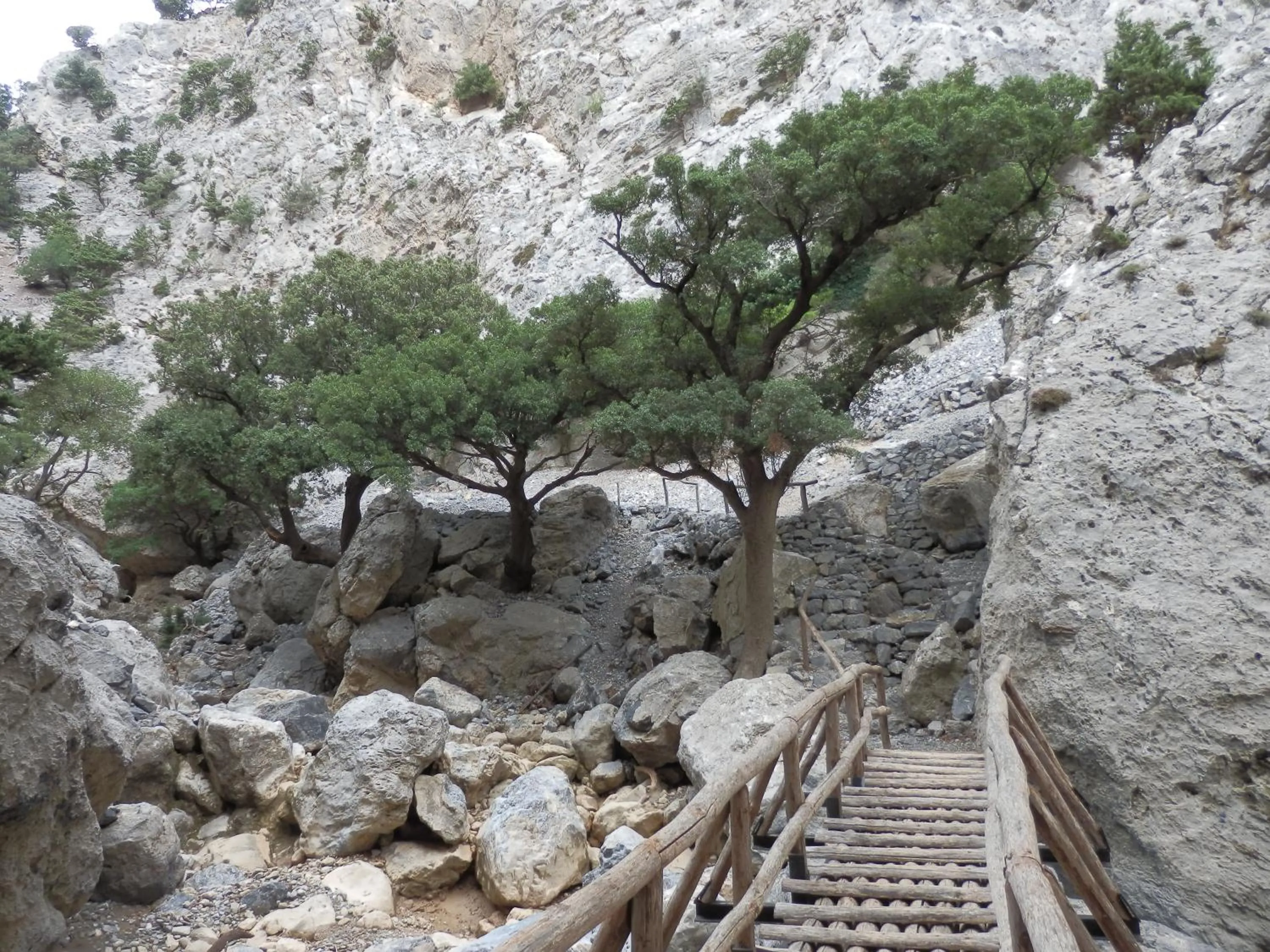 Hiking in Nana Apartments