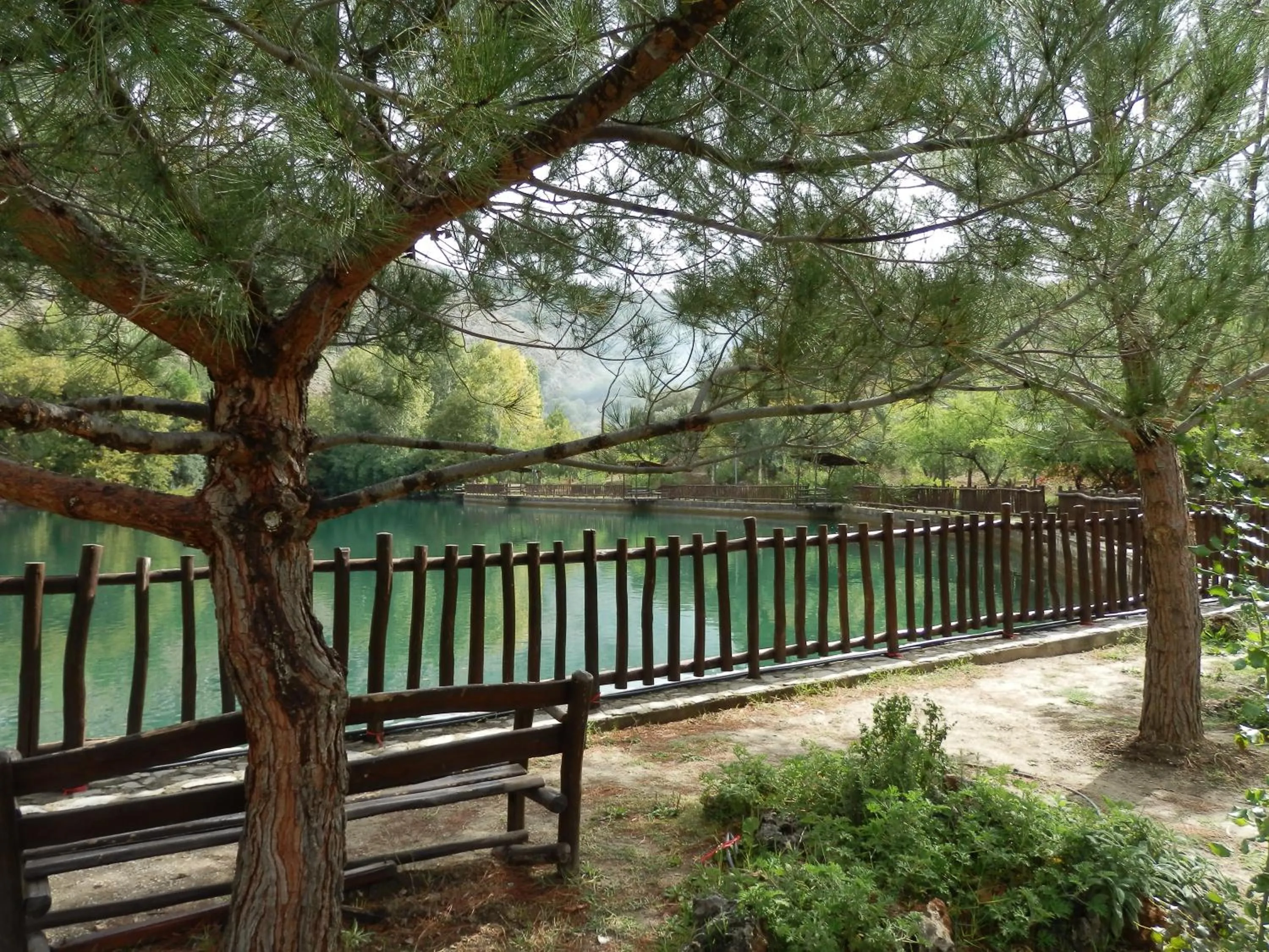Natural landscape in Nana Apartments