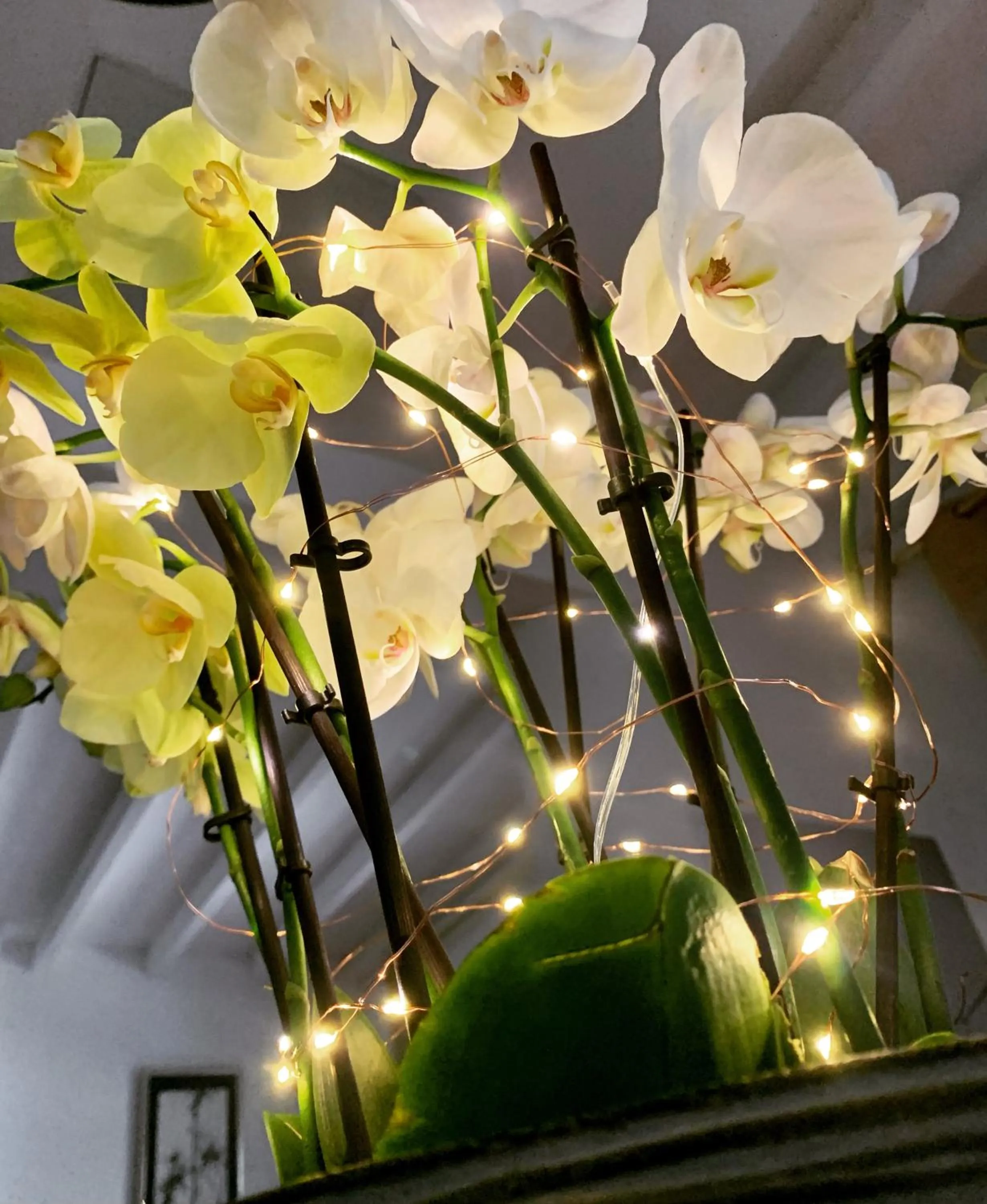 Decorative detail in 45BB Apartment