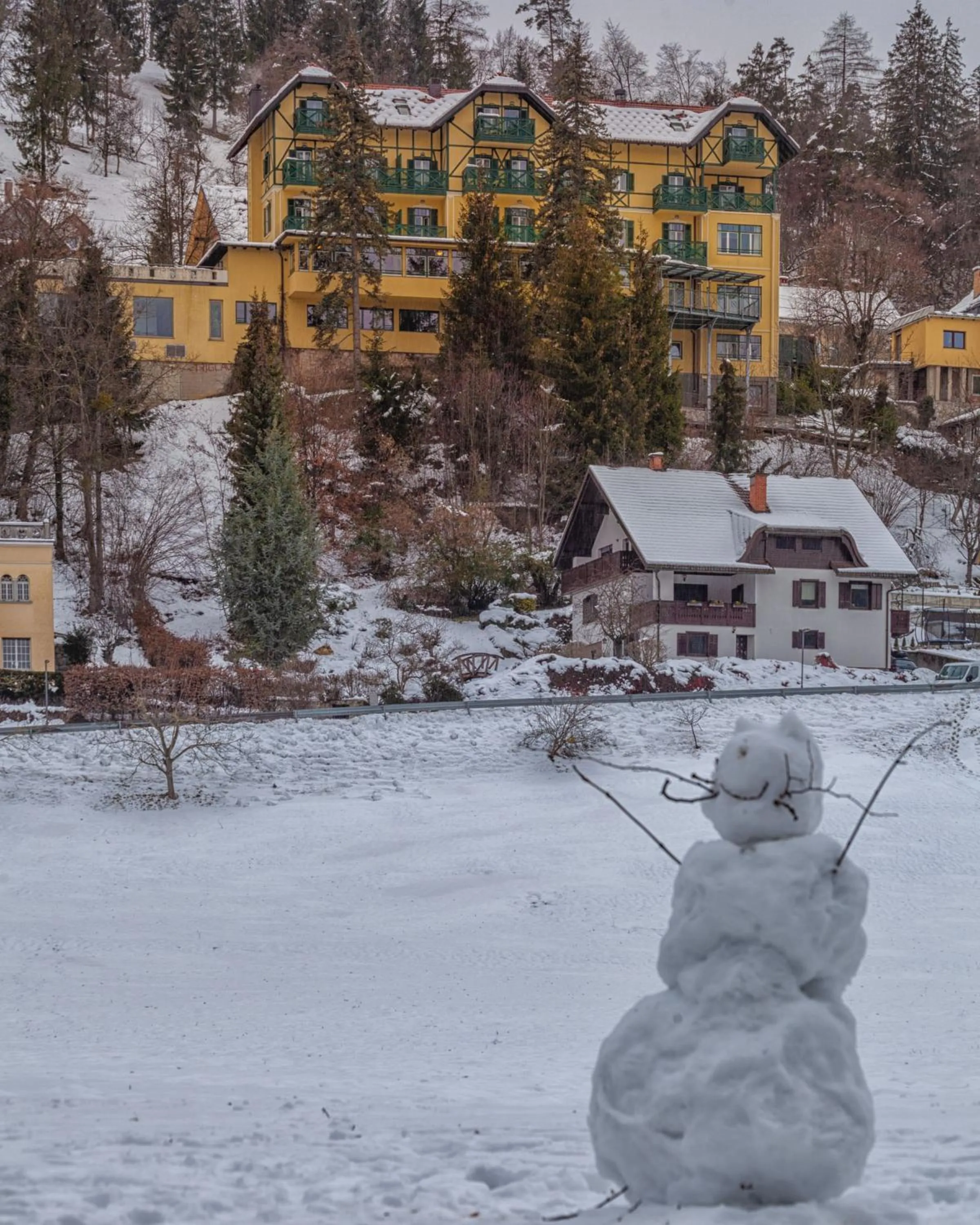 Winter in Hotel Triglav