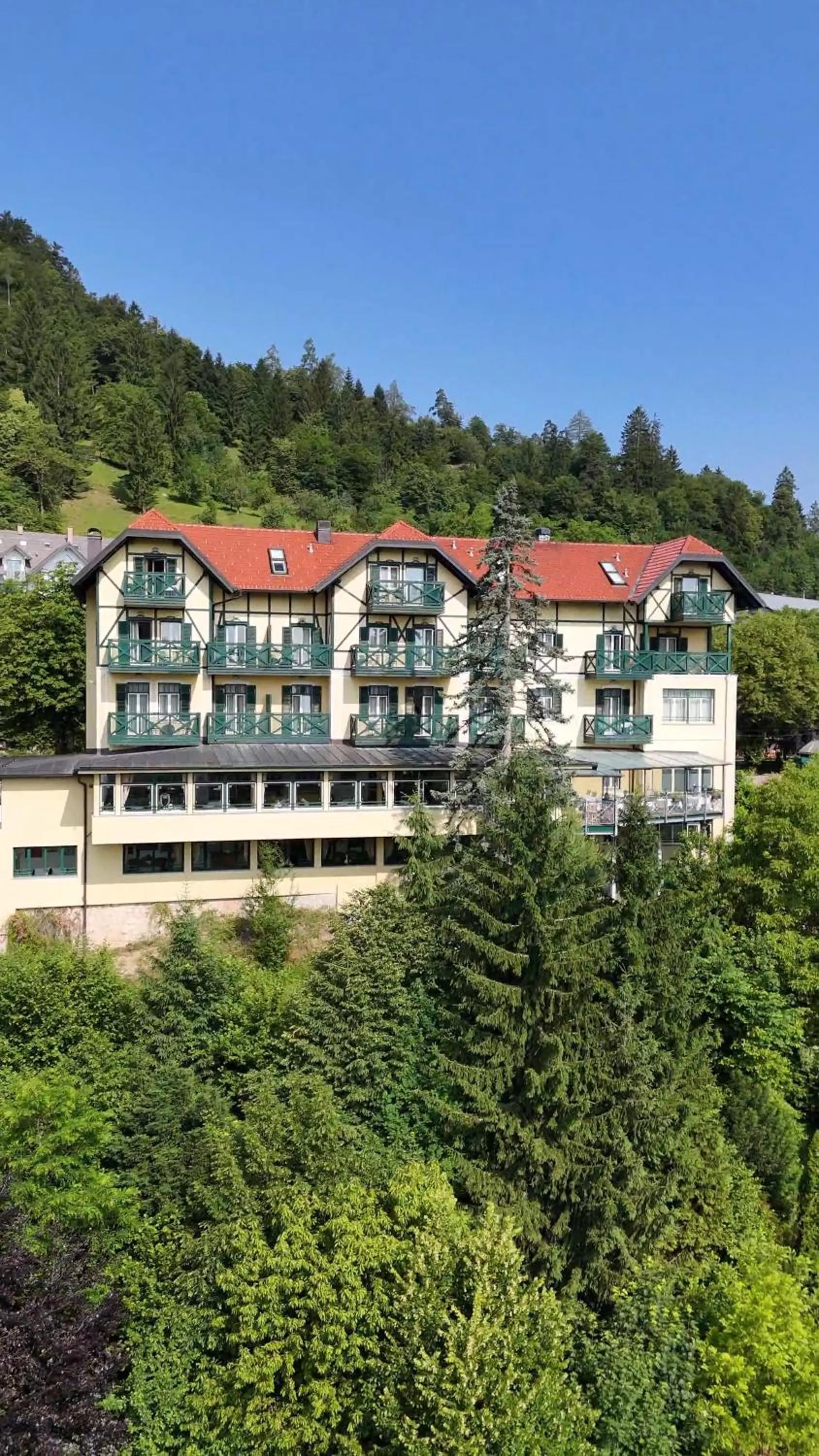Property building in Hotel Triglav