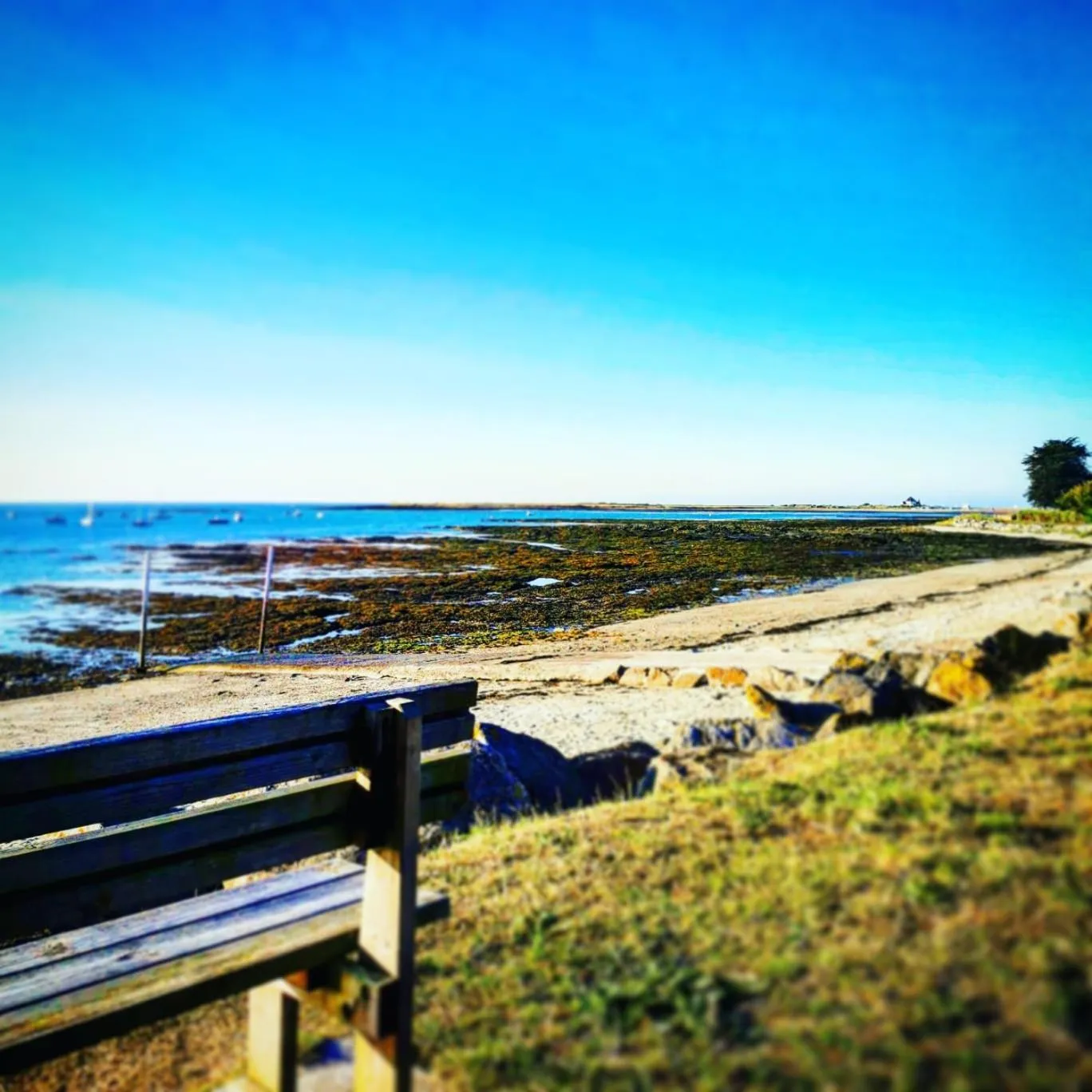 Beach in Hôtel Restaurant Le Mur du Roy