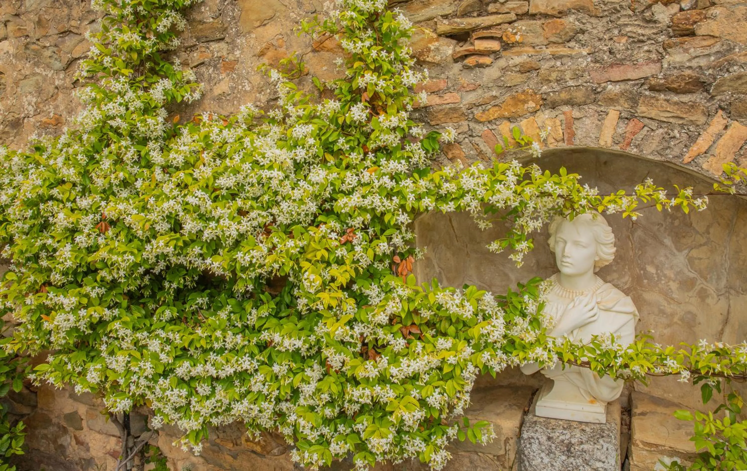 Patio in Les Yourtes de Provence