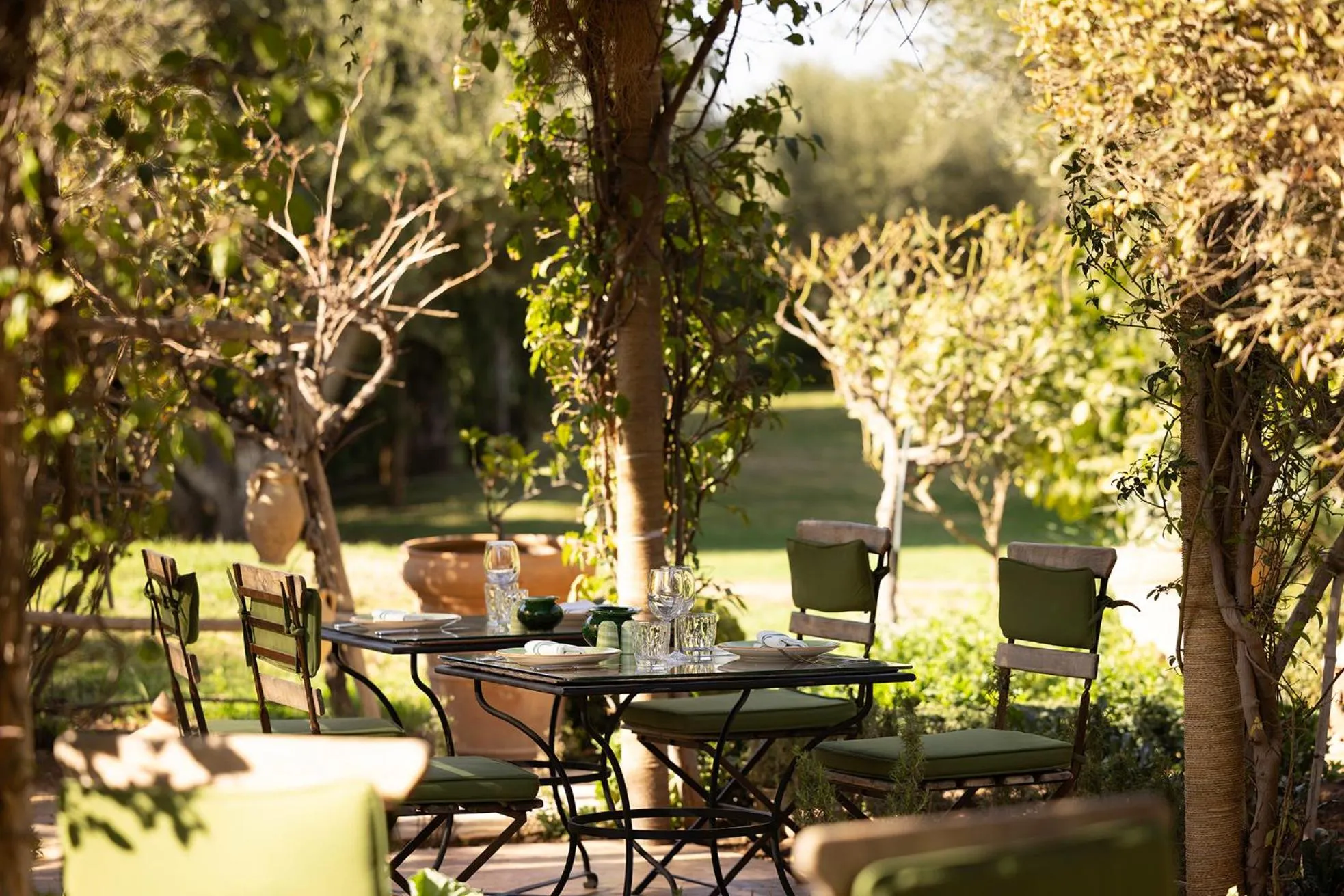 Restaurant/places to eat in Palais Ronsard Relais & Chateaux