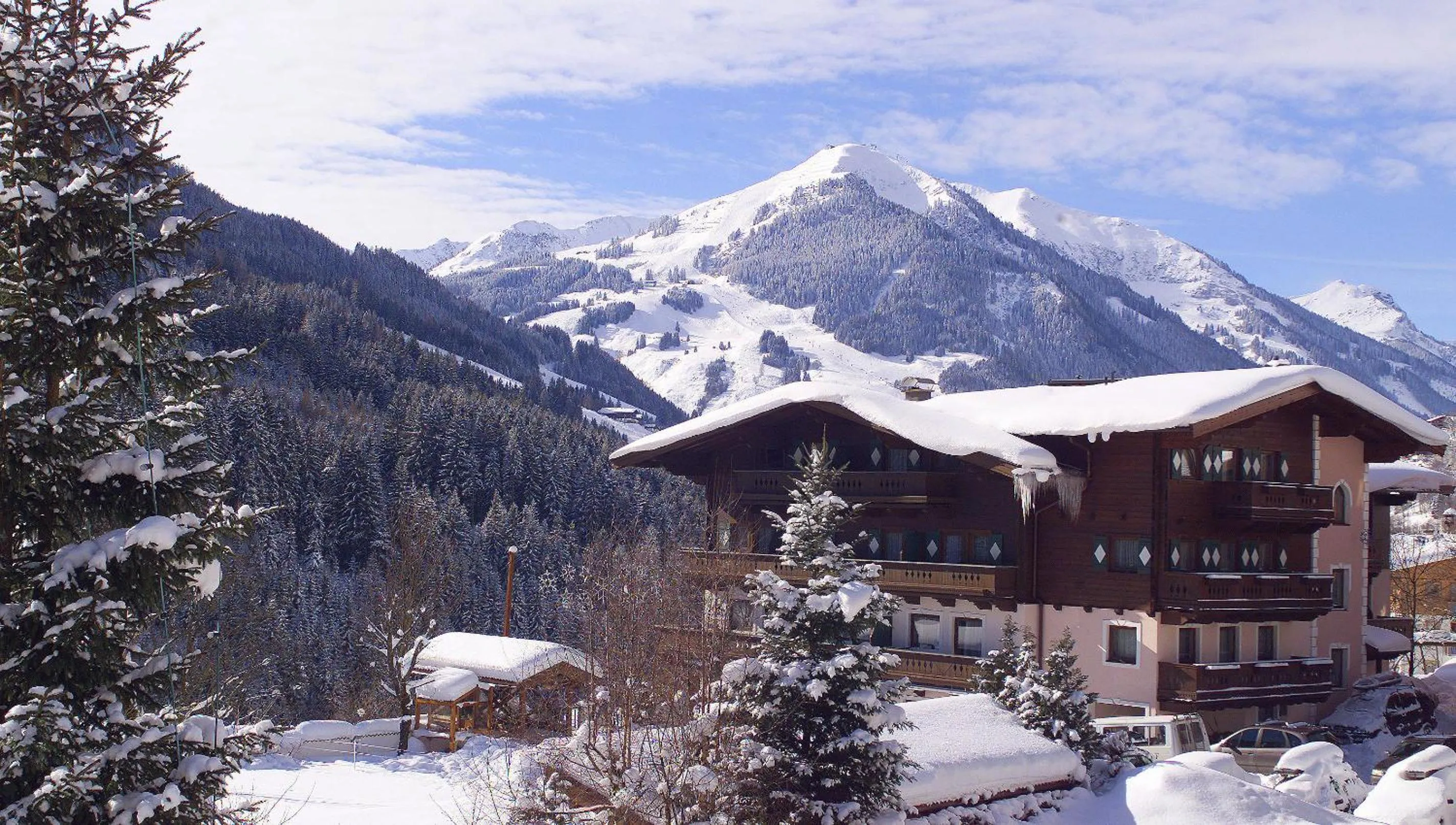Altachhof Hotel und Ferienanlage - Jokercard im Sommer inklusive
