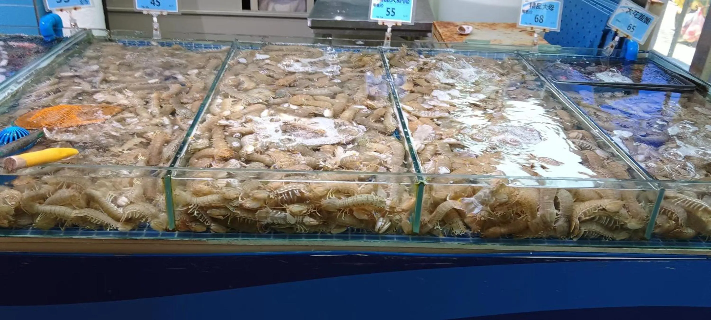 Supermarket/grocery shop in Dalian Xiuzhu Mansion Apartment