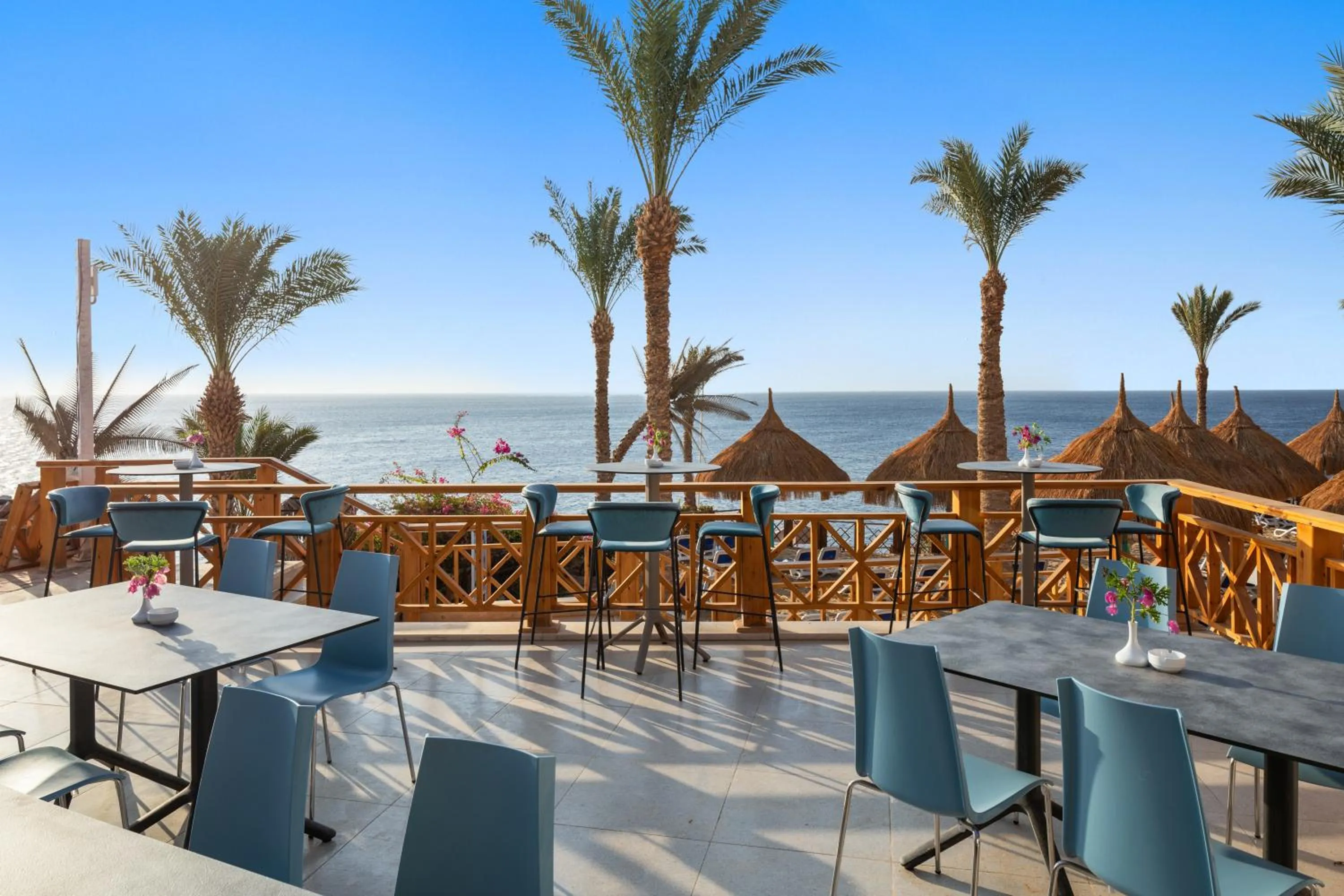 Day in Pickalbatros Golf Beach Resort - All Inclusive