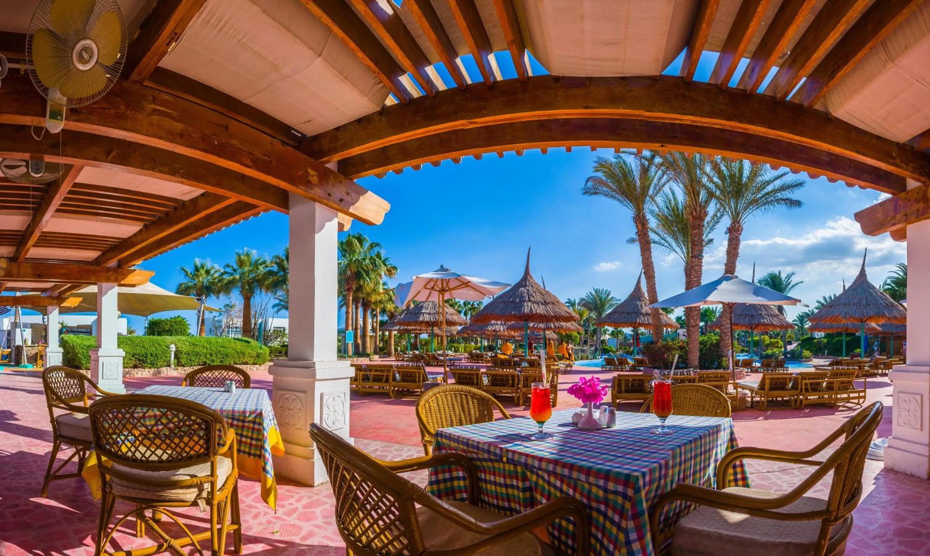 Lounge or bar in Pickalbatros Golf Beach Resort - All Inclusive