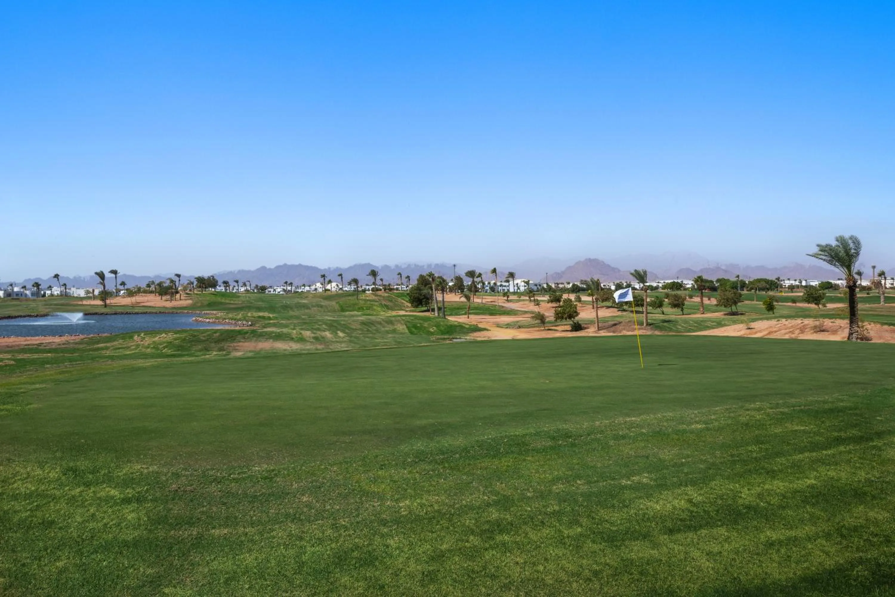 Natural landscape in Pickalbatros Golf Beach Resort - All Inclusive