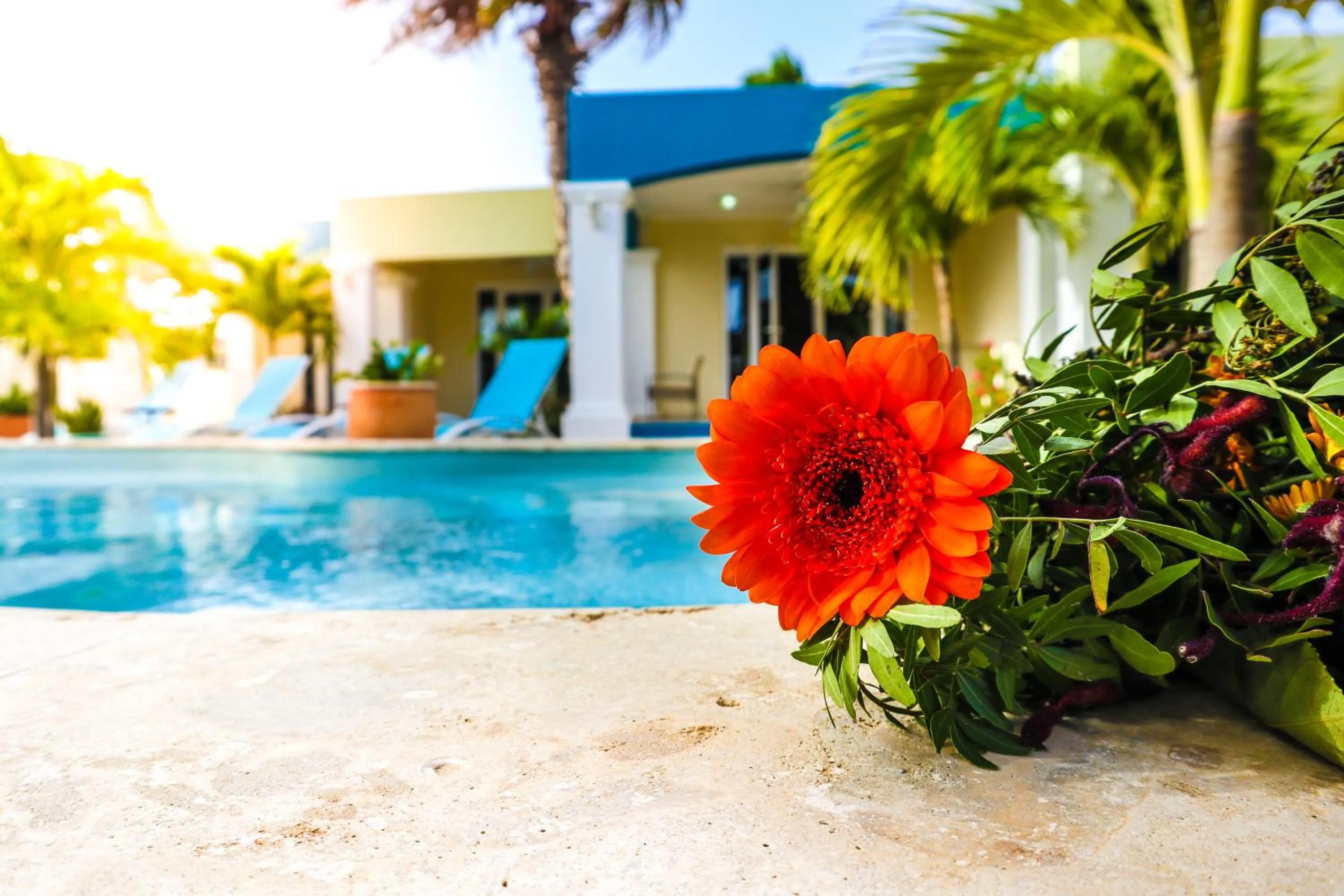 Property building, Swimming Pool in Aqua Viva Suites