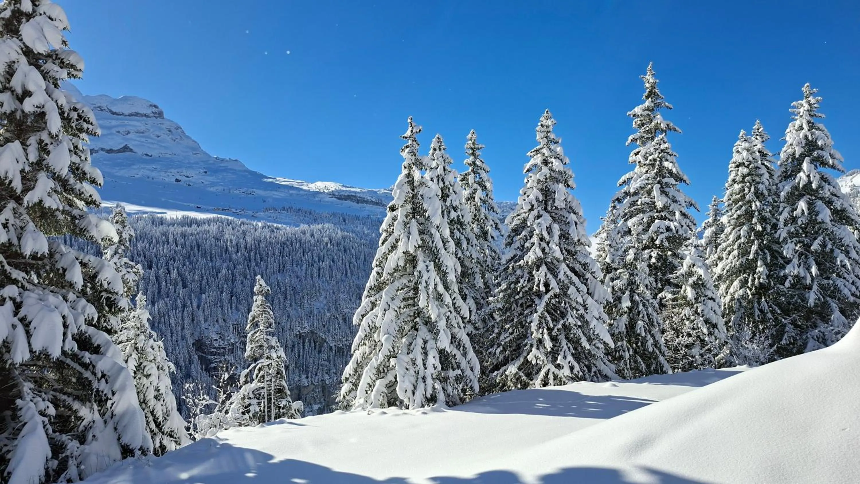 Mountain view in Residence les Pleiades
