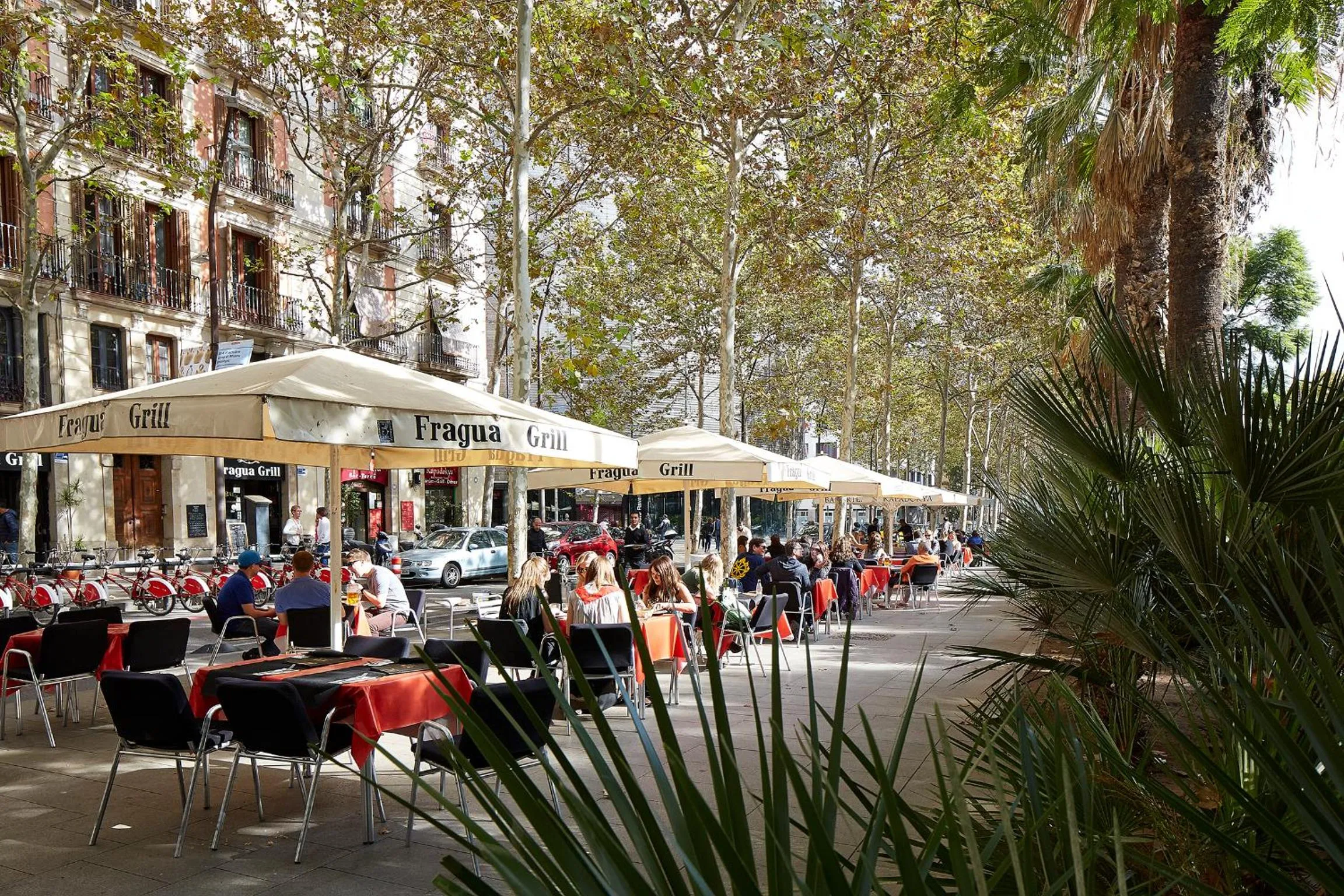 Patio in Hostal River