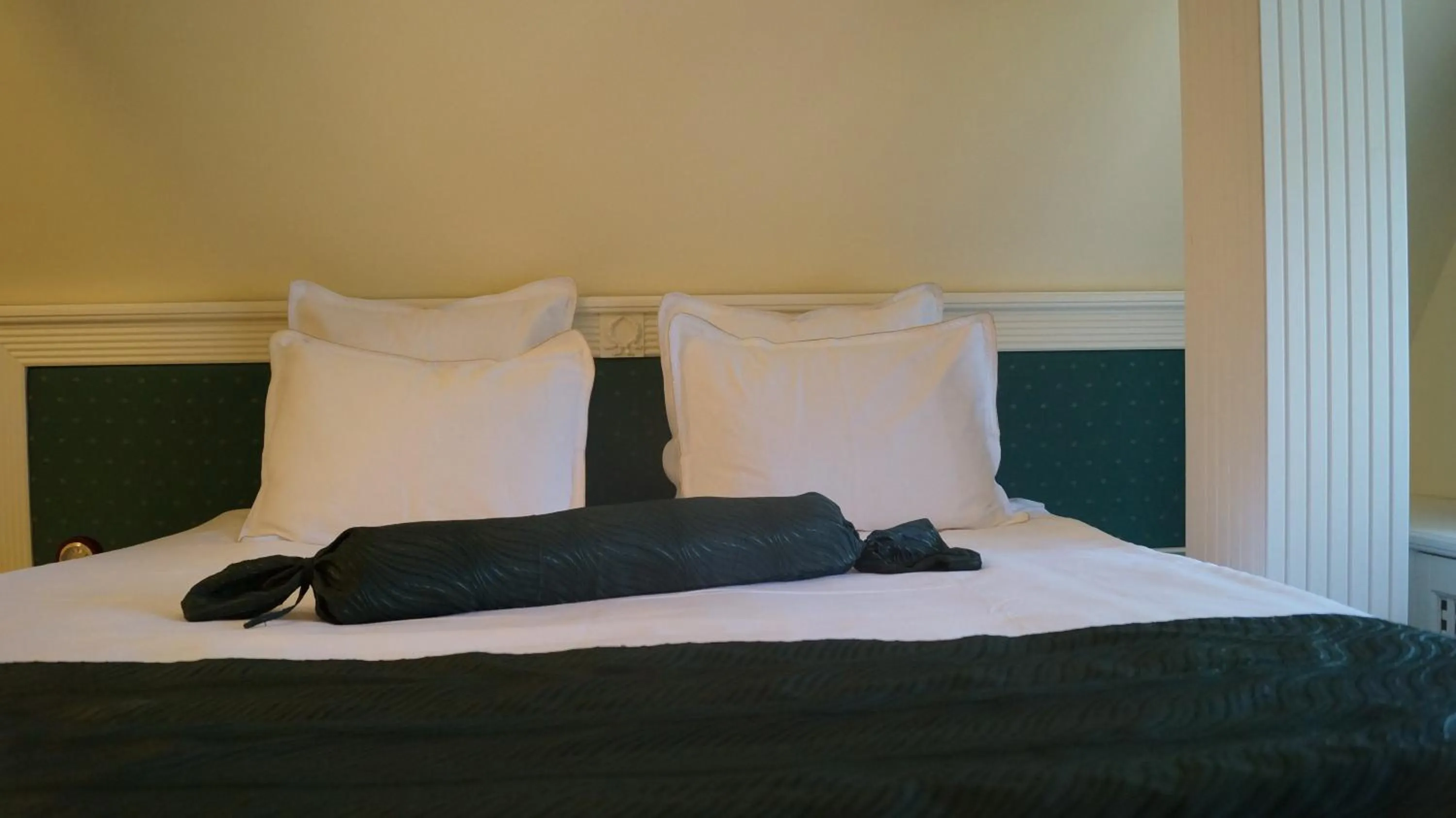 Bed in Complex La Tunuri - Vila Economat