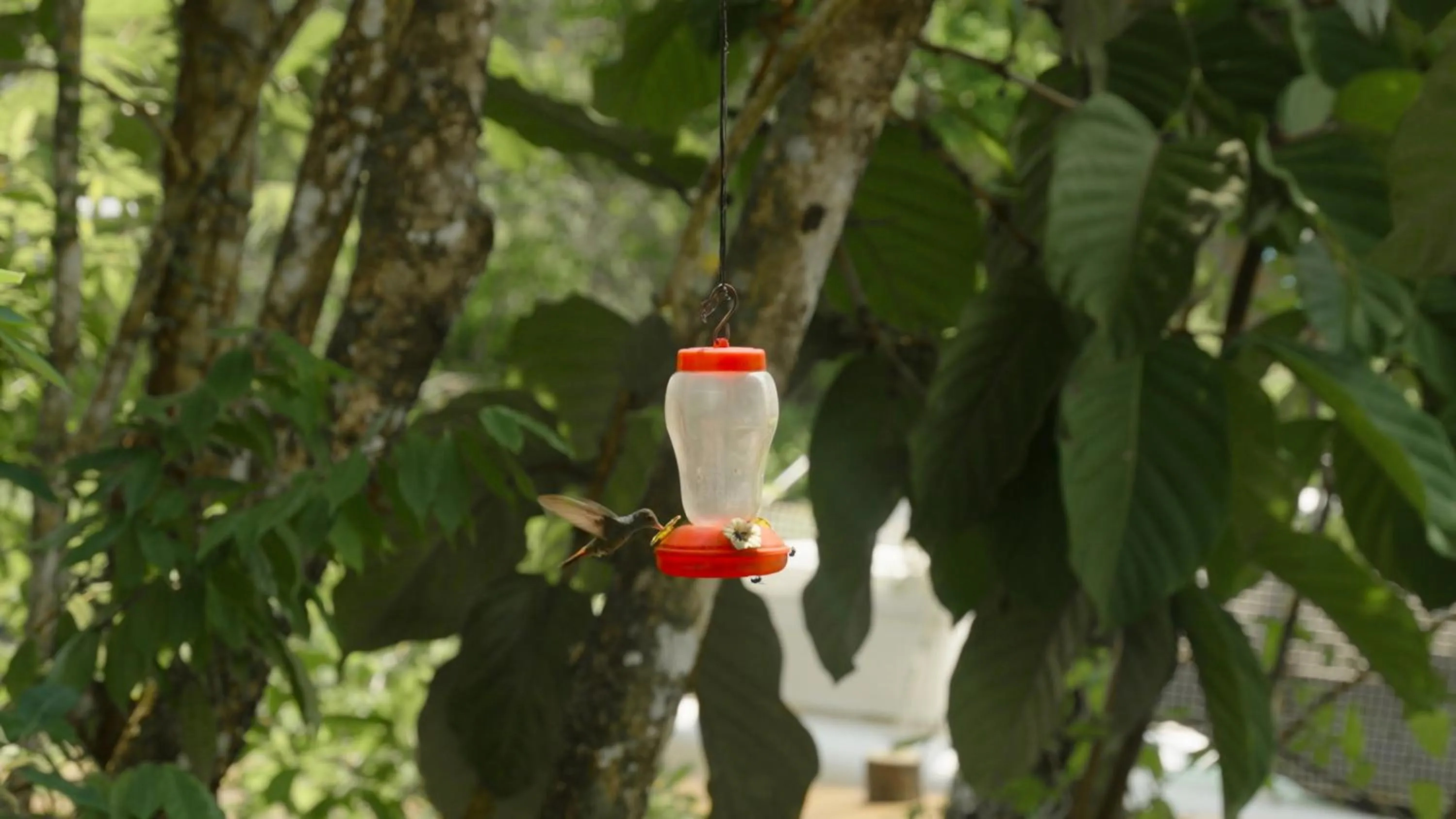 Boatique Hotel and Marina