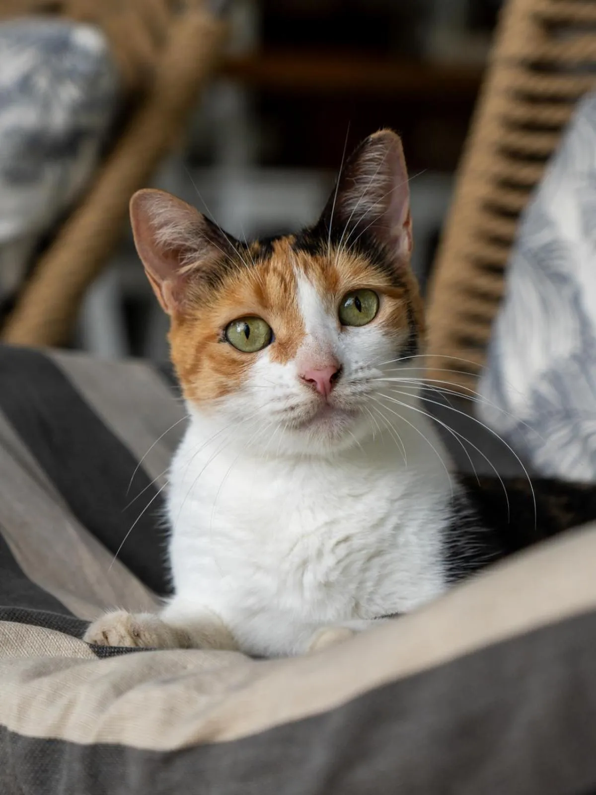 Boatique Hotel and Marina