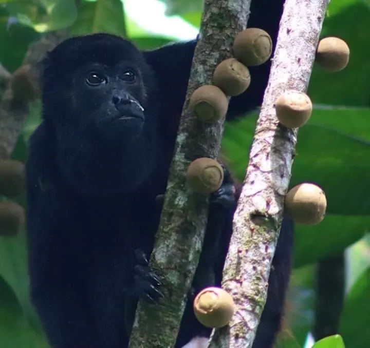 Boatique Hotel and Marina