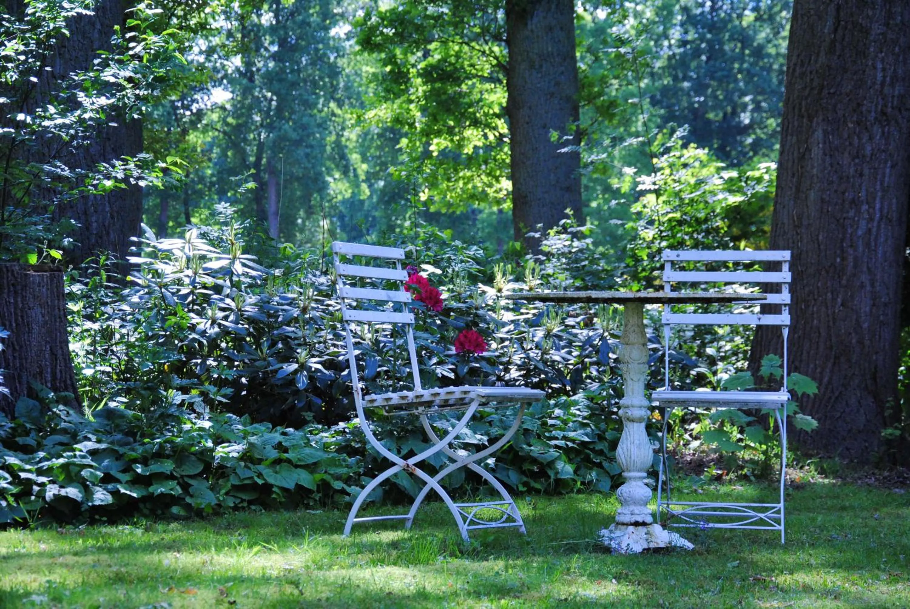 Garden view in Landgoedhoeve Vosbergen
