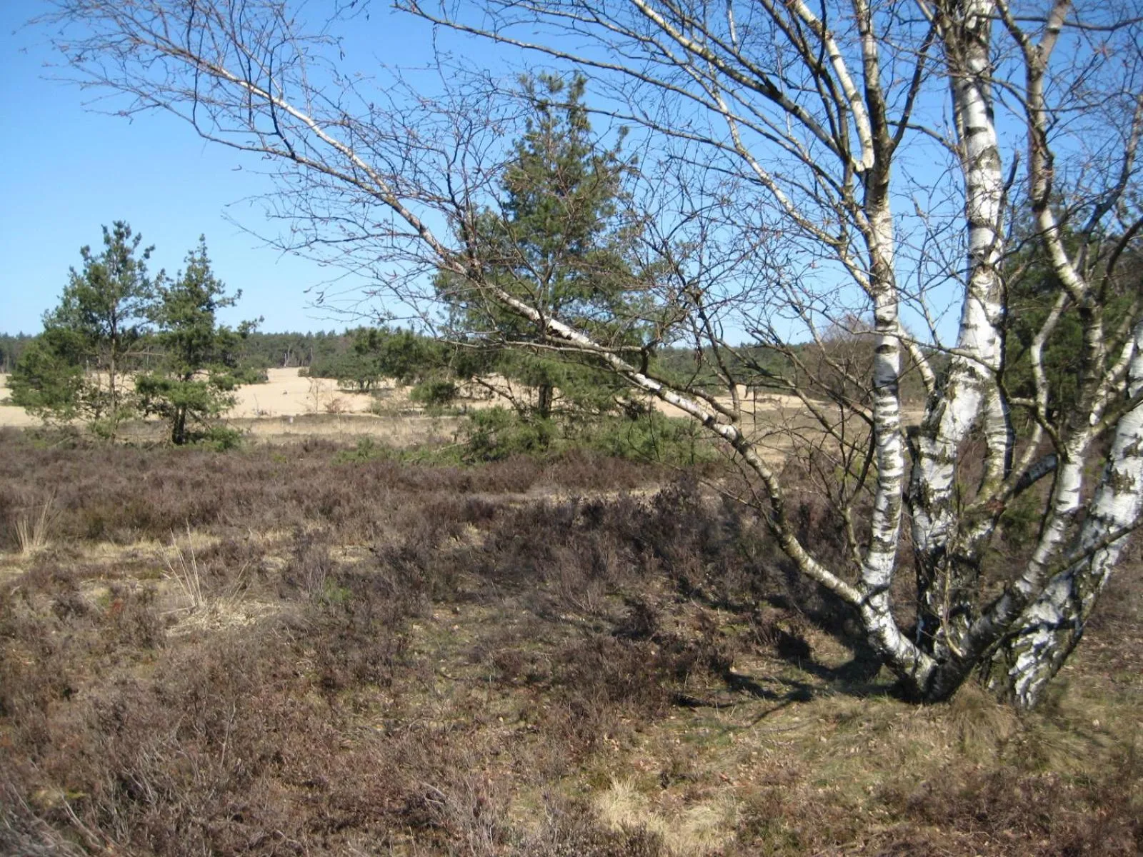 Bird's eye view in Landgoedhoeve Vosbergen