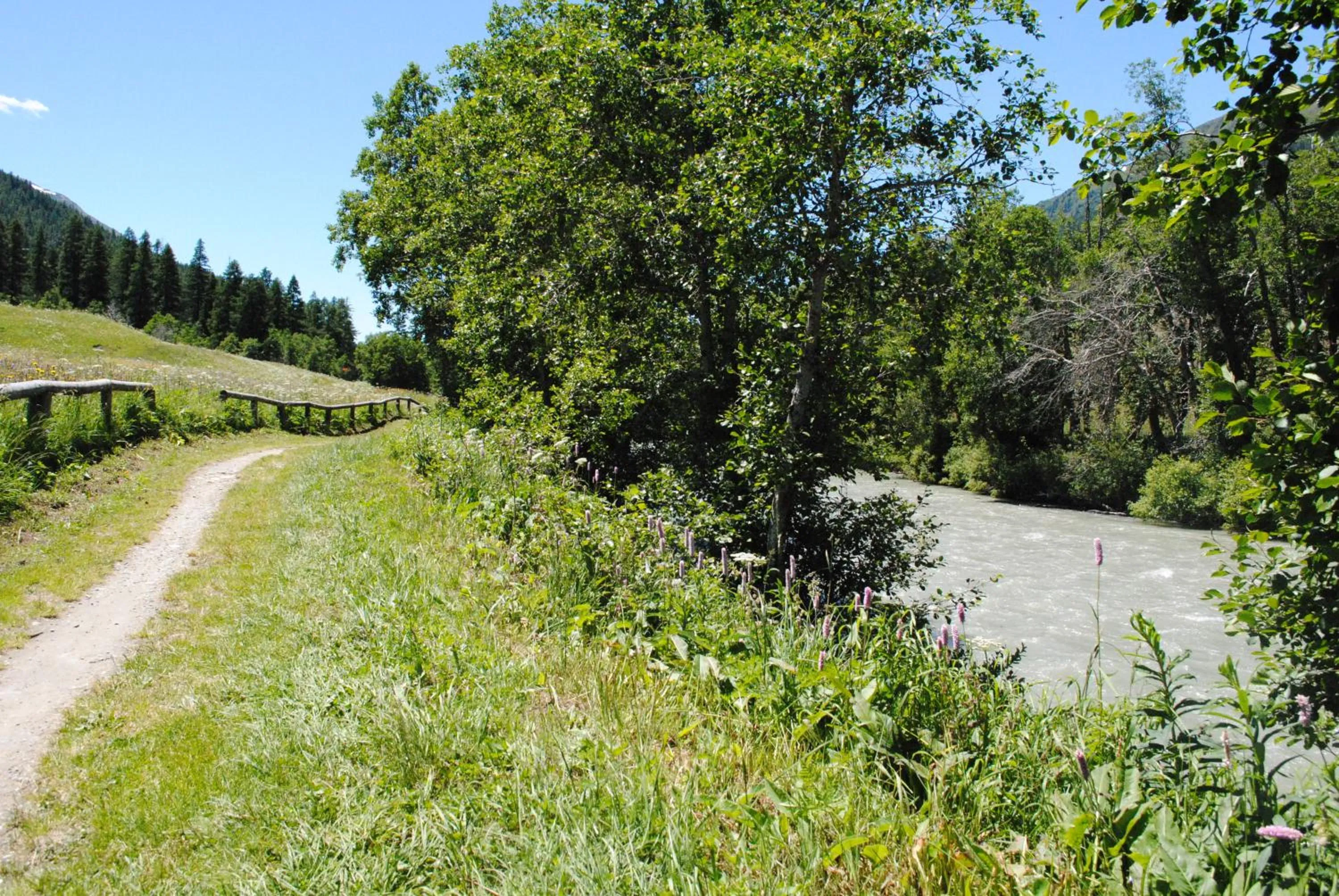 Hiking in Hotel Nufenen