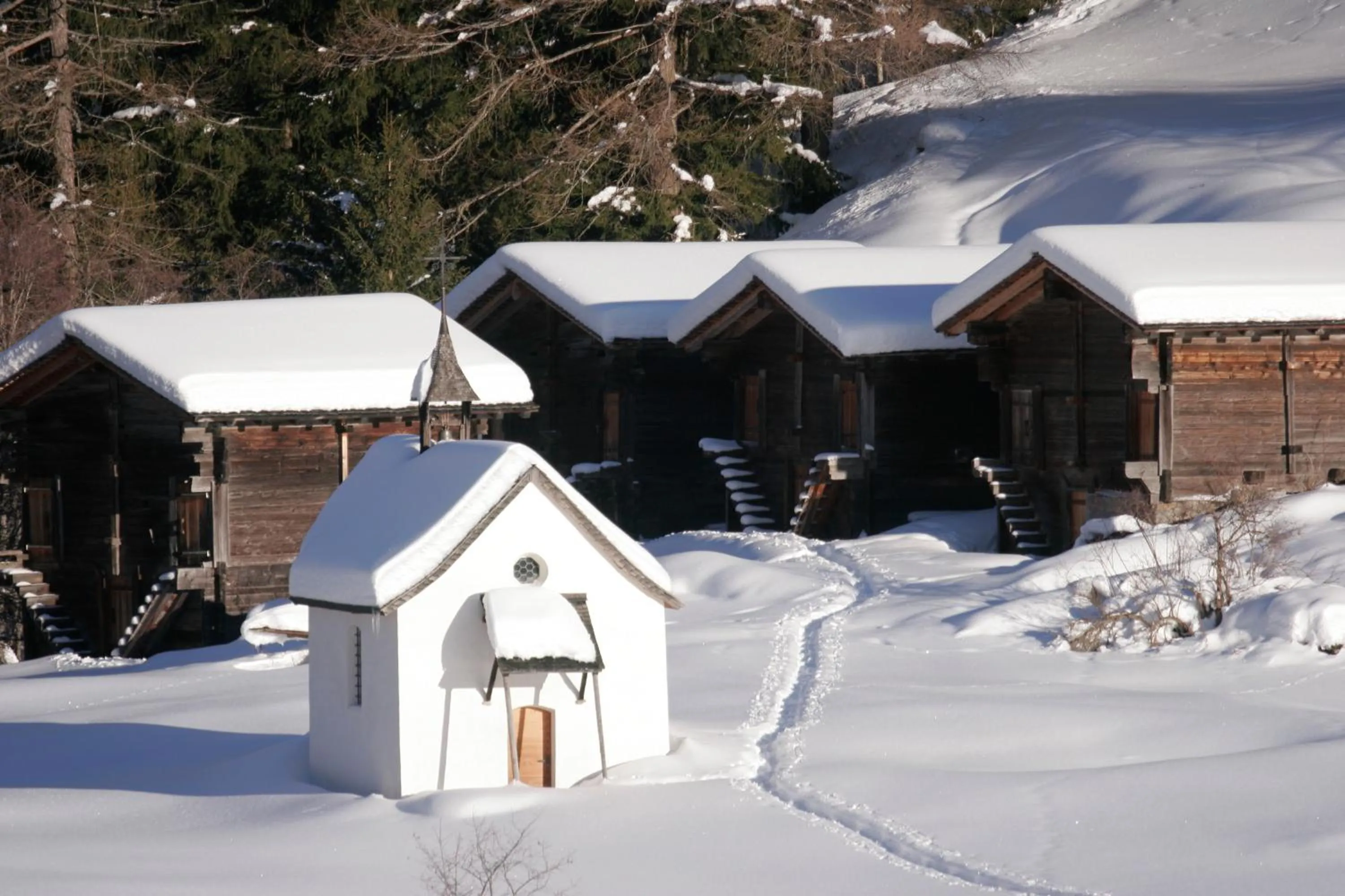 Natural landscape in Hotel Nufenen