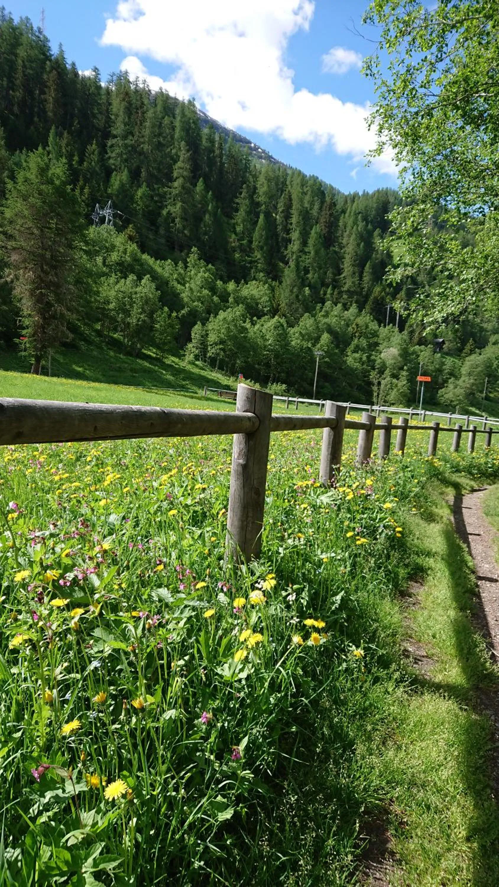 Natural landscape in Hotel Nufenen