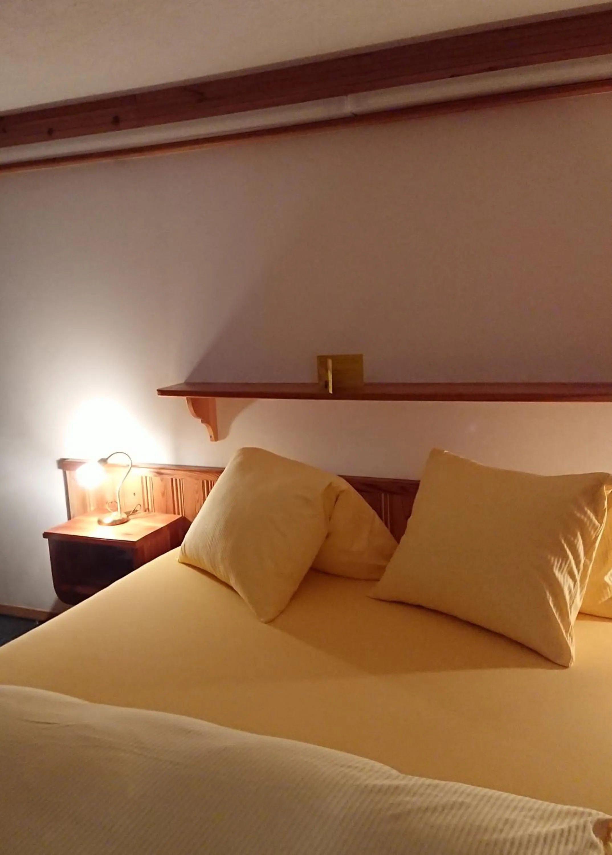 Photo of the whole room, Bed in Hotel Nufenen