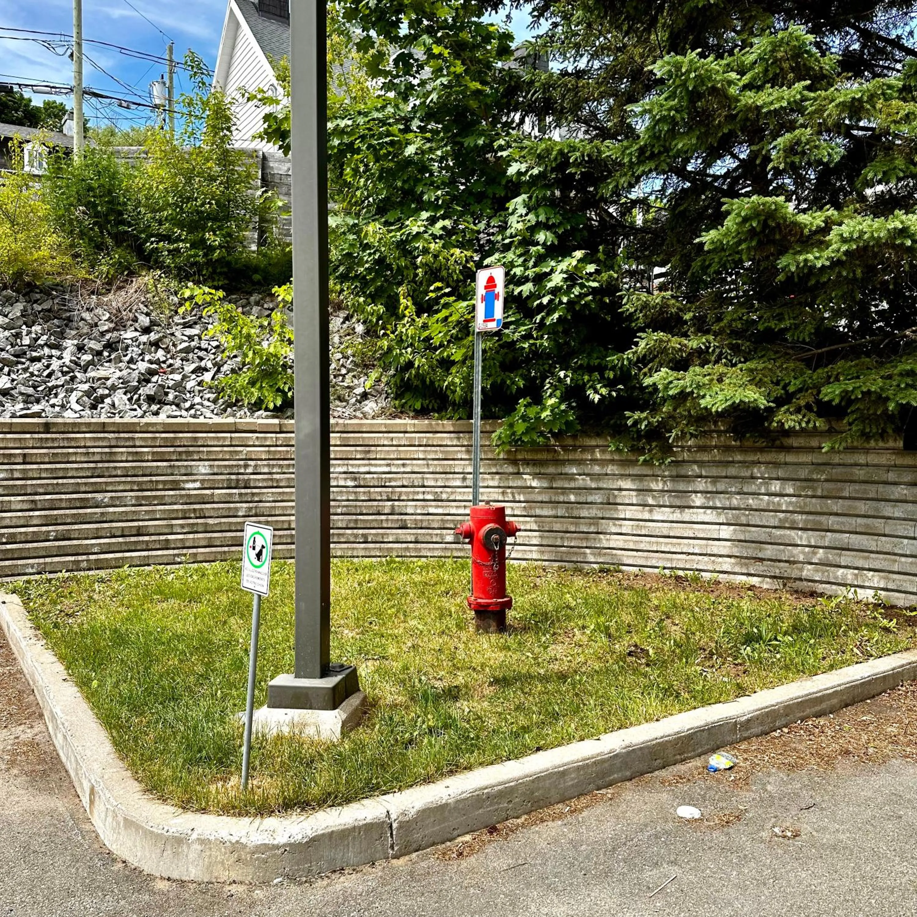 Pets in INITIAL - CAVALIER - Chutes-Montmorency