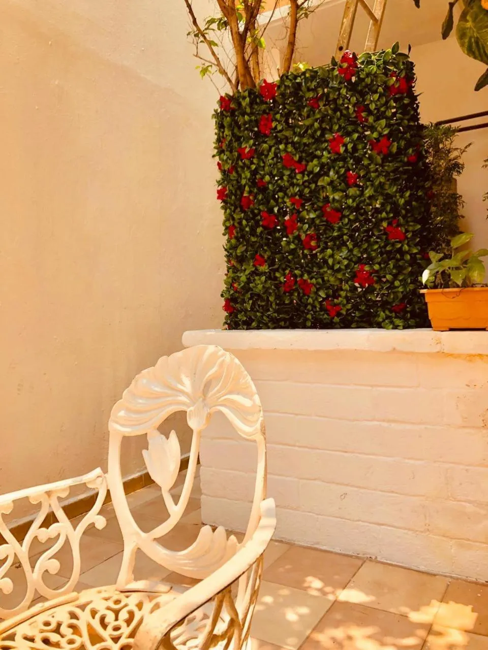 Balcony/Terrace in Hotel El Faro Malecon