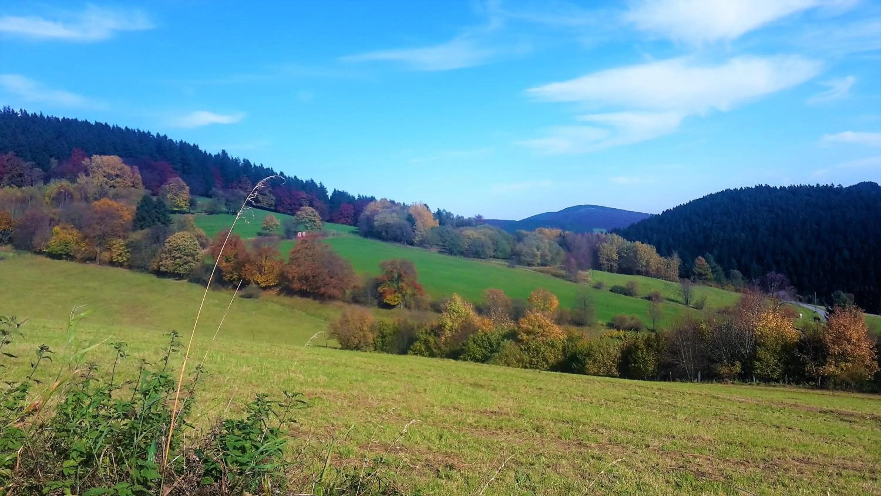 Natural landscape in Pension Haus Waldfrieden, MeineCardPlus inklusive