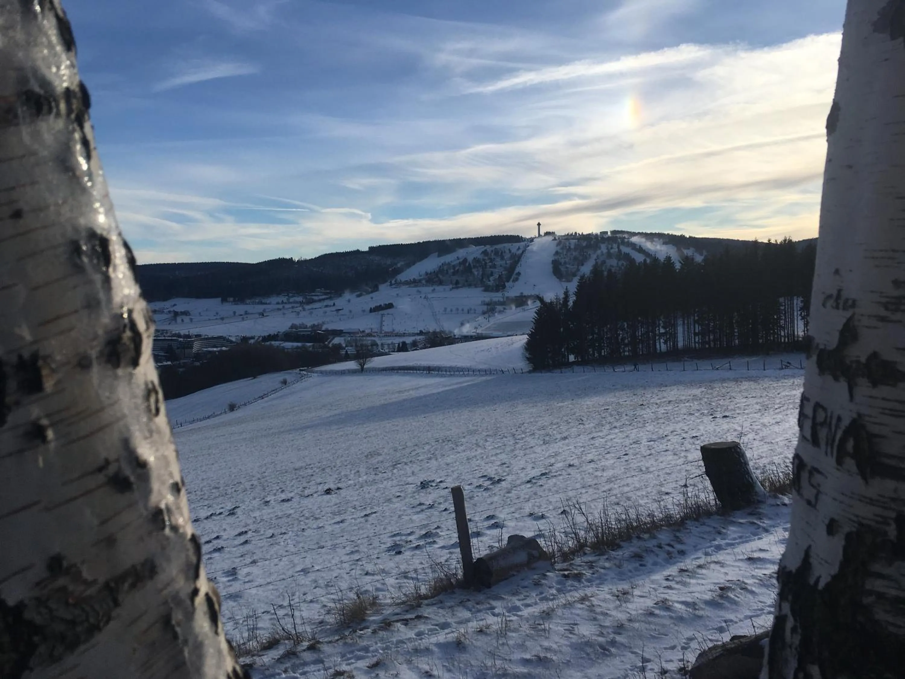 Natural landscape in Pension Haus Waldfrieden, MeineCardPlus inklusive
