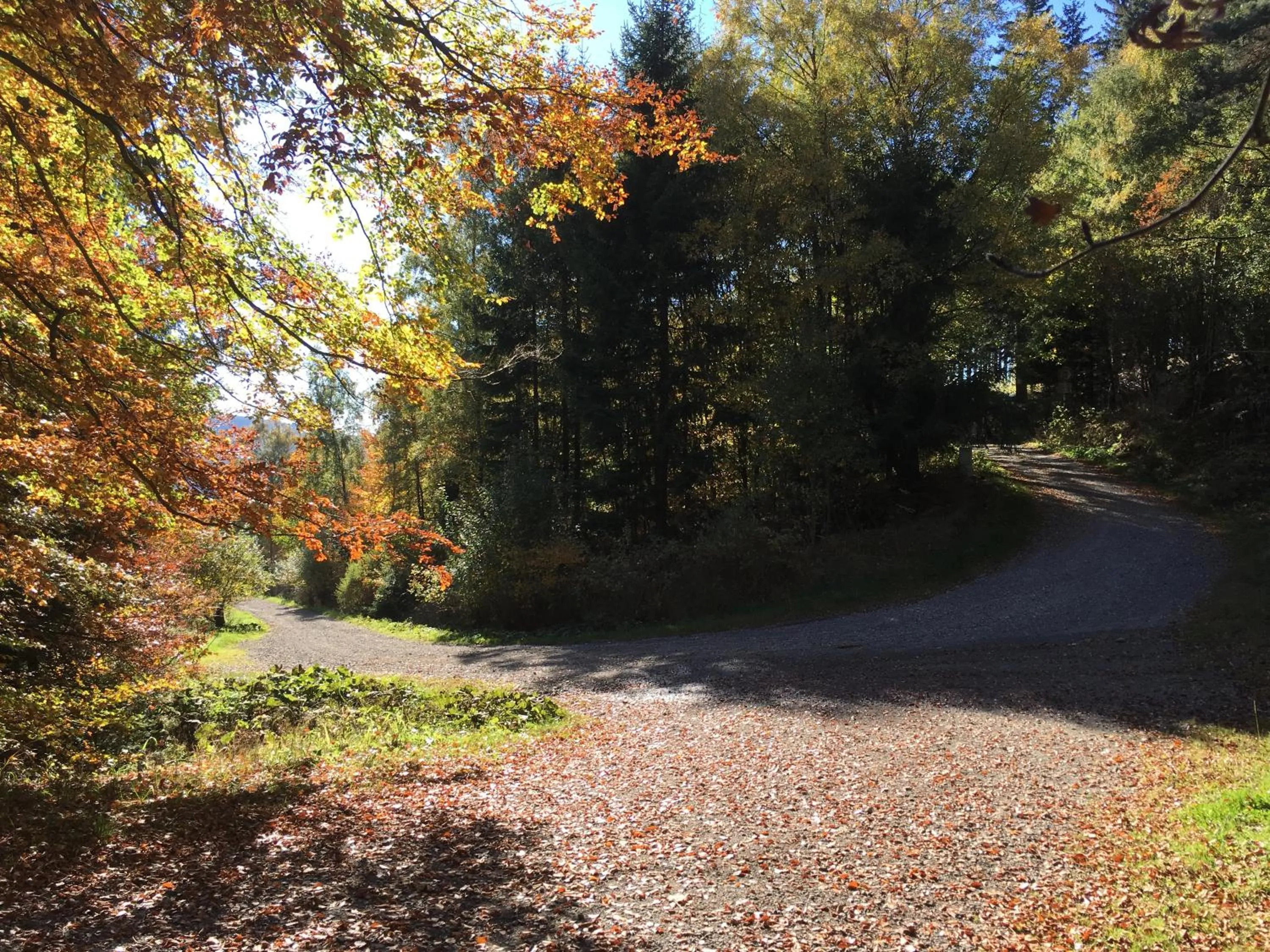 Natural landscape in Pension Haus Waldfrieden, MeineCardPlus inklusive