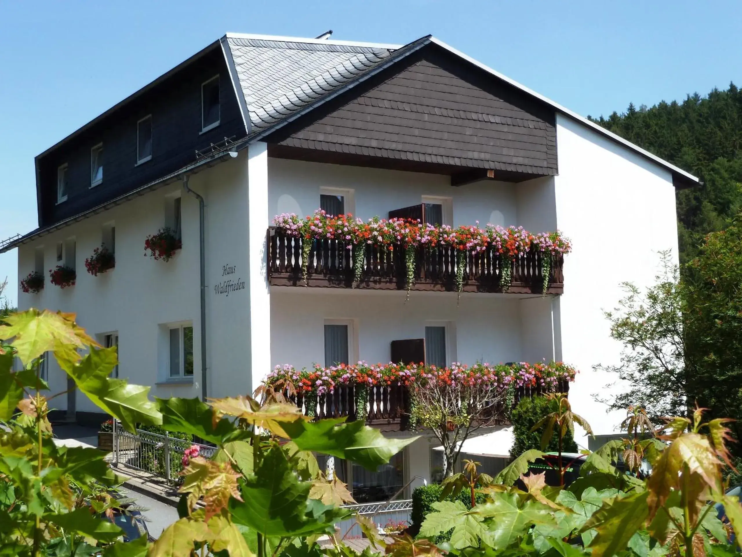 Pension Haus Waldfrieden, MeineCardPlus inklusive Pension Haus Waldfrieden, MeineCardPlus inklusive