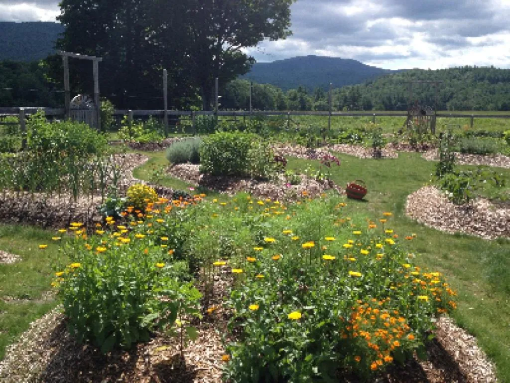 View (from property/room) in Bark Eater Inn