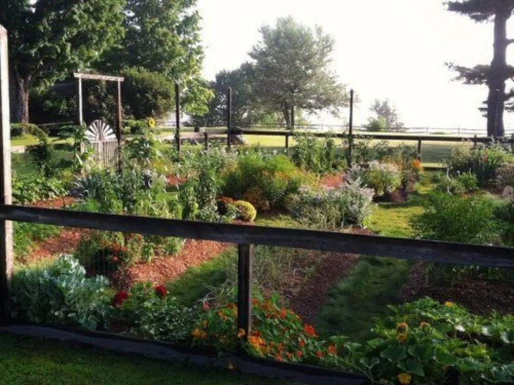 View (from property/room) in Bark Eater Inn