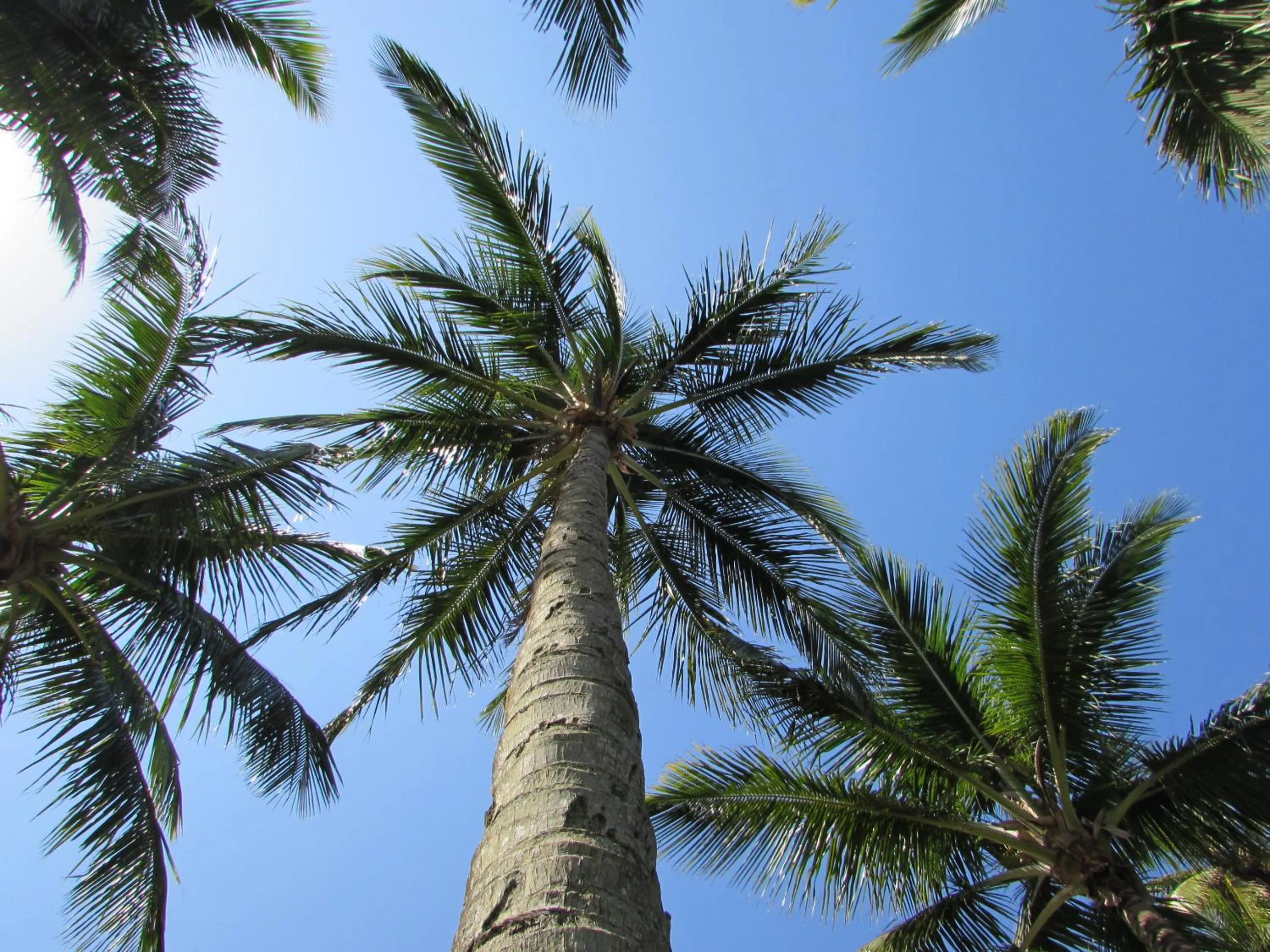 Natural landscape in Vistabela Resort & Spa