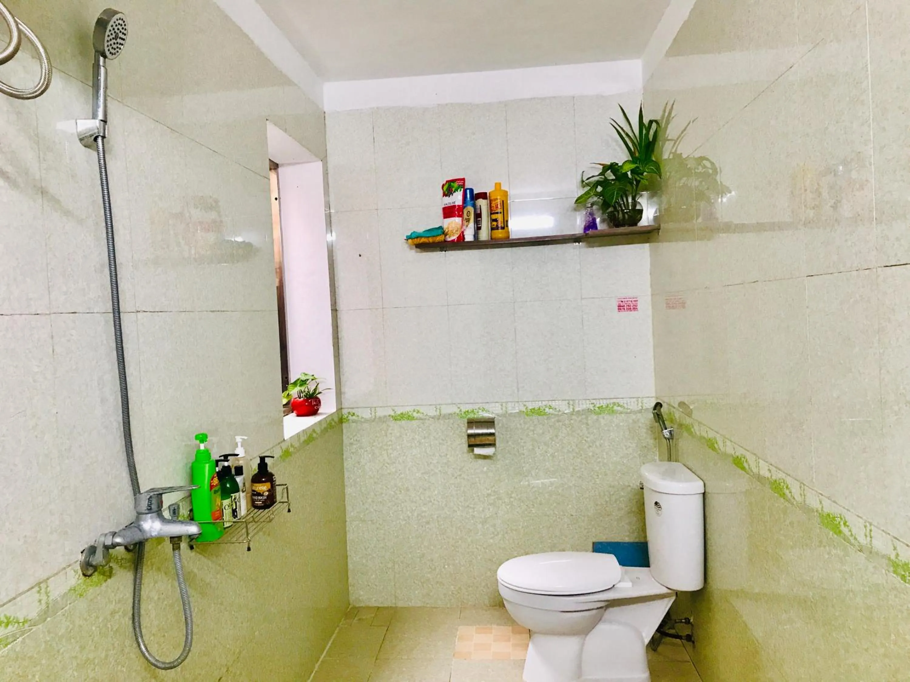 Shower in Hava Homestay