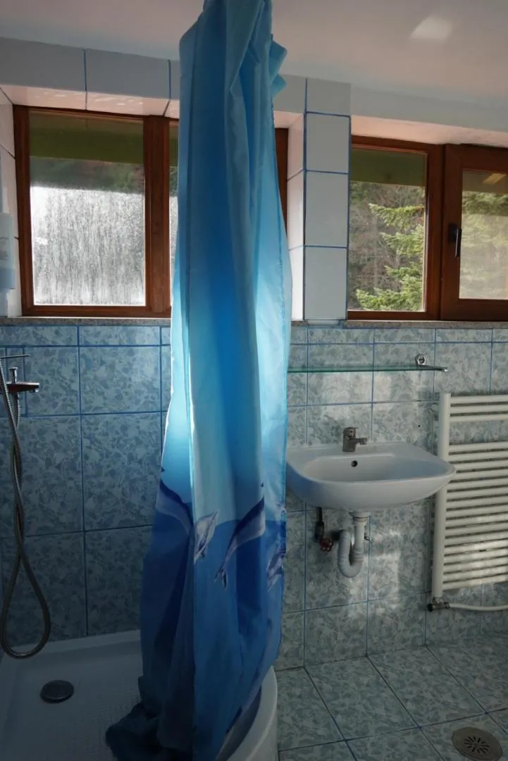 Shower in Pensiunea Kalinder