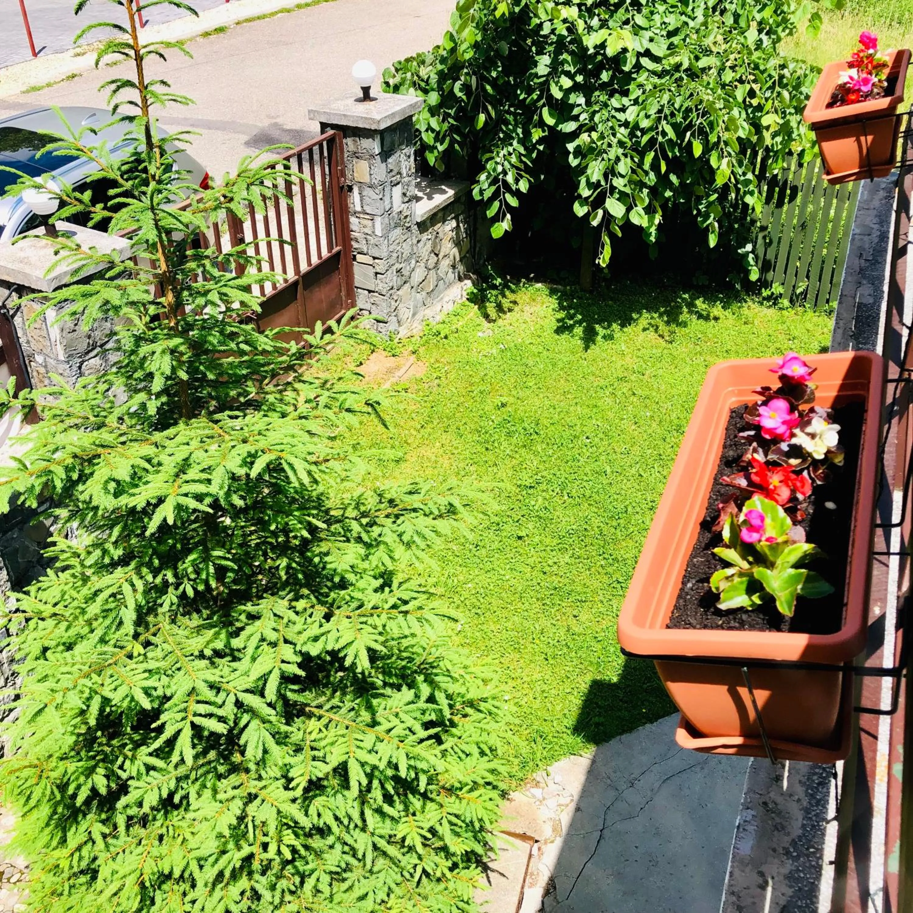 Garden in Pensiunea Kalinder