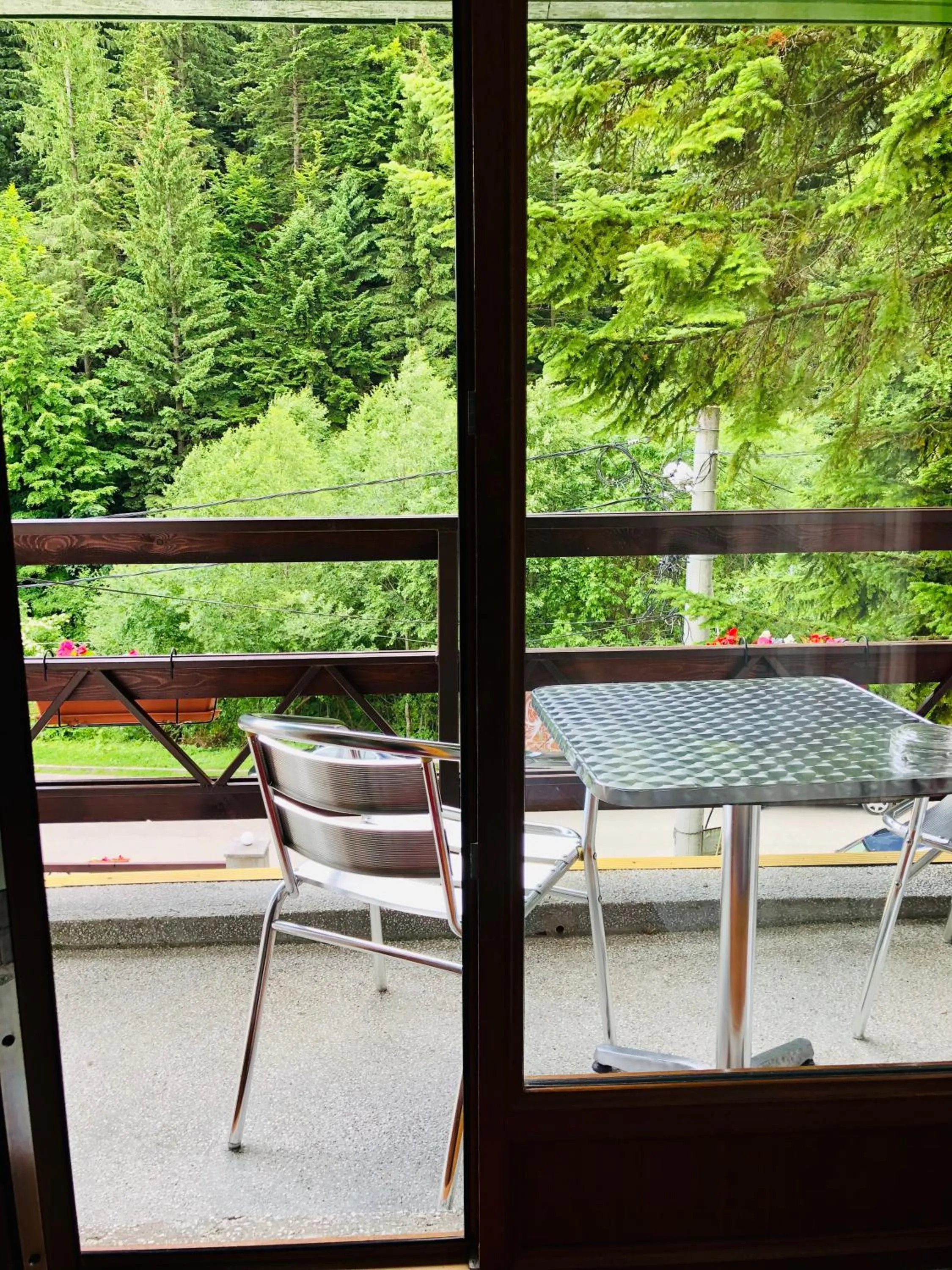 Balcony/Terrace in Pensiunea Kalinder
