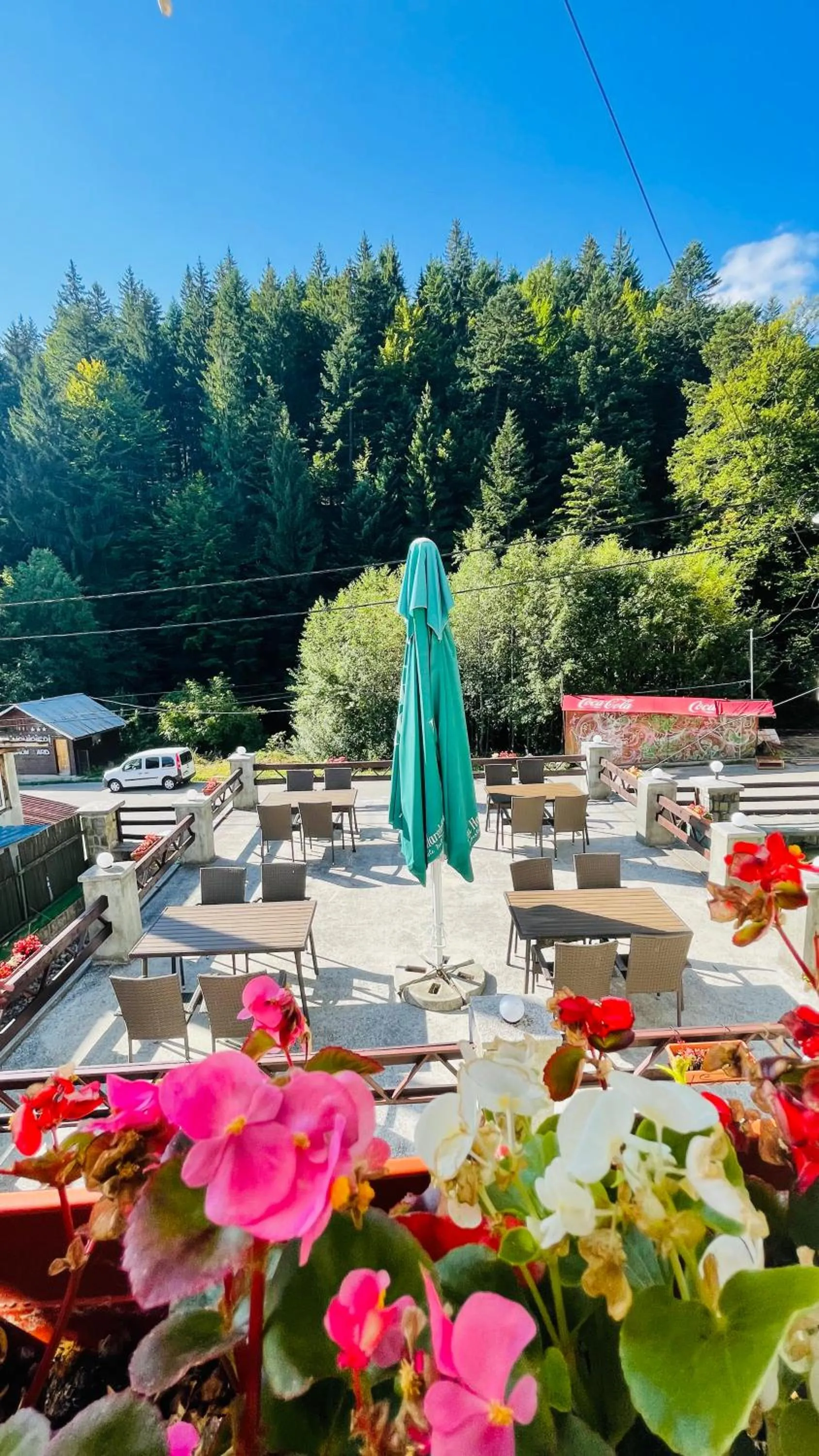Restaurant/places to eat in Pensiunea Kalinder