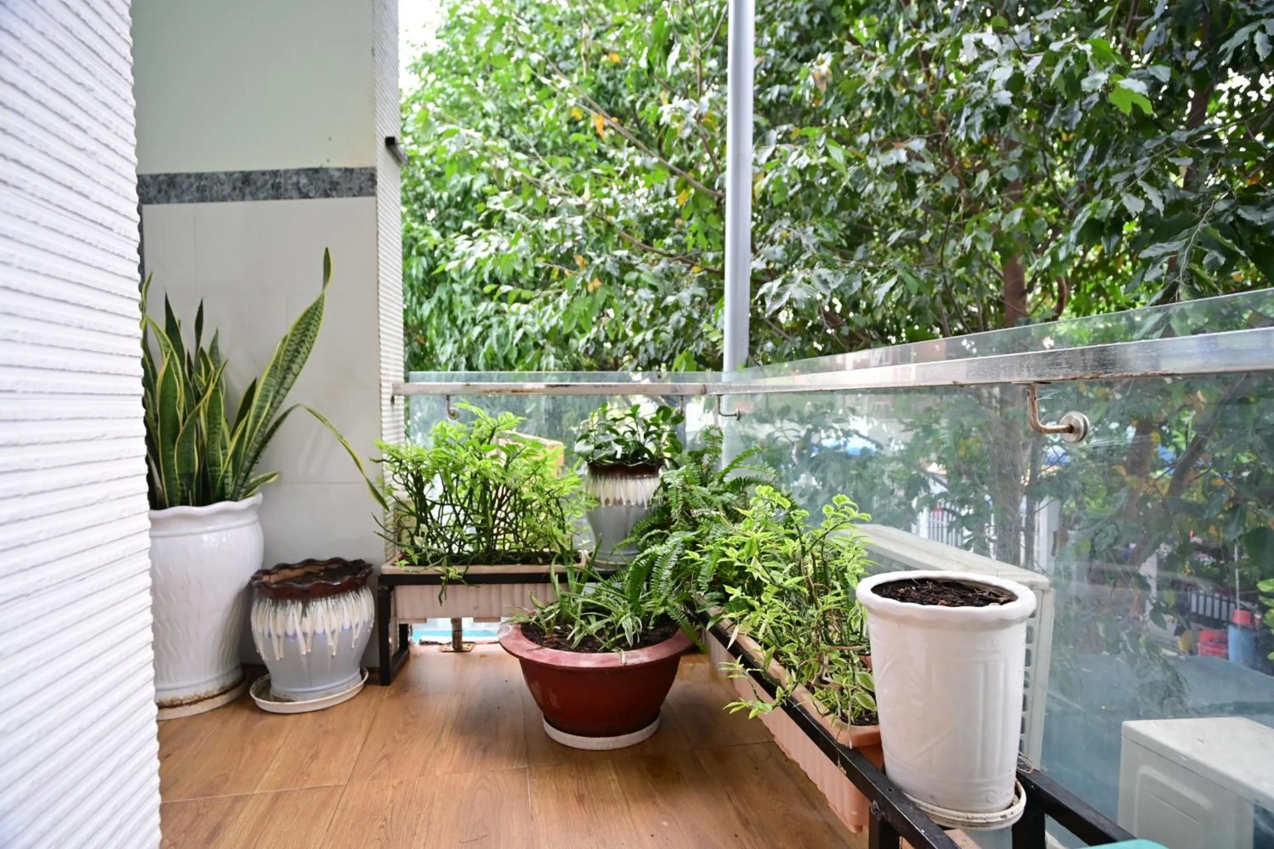 Garden in Little Home Homestay